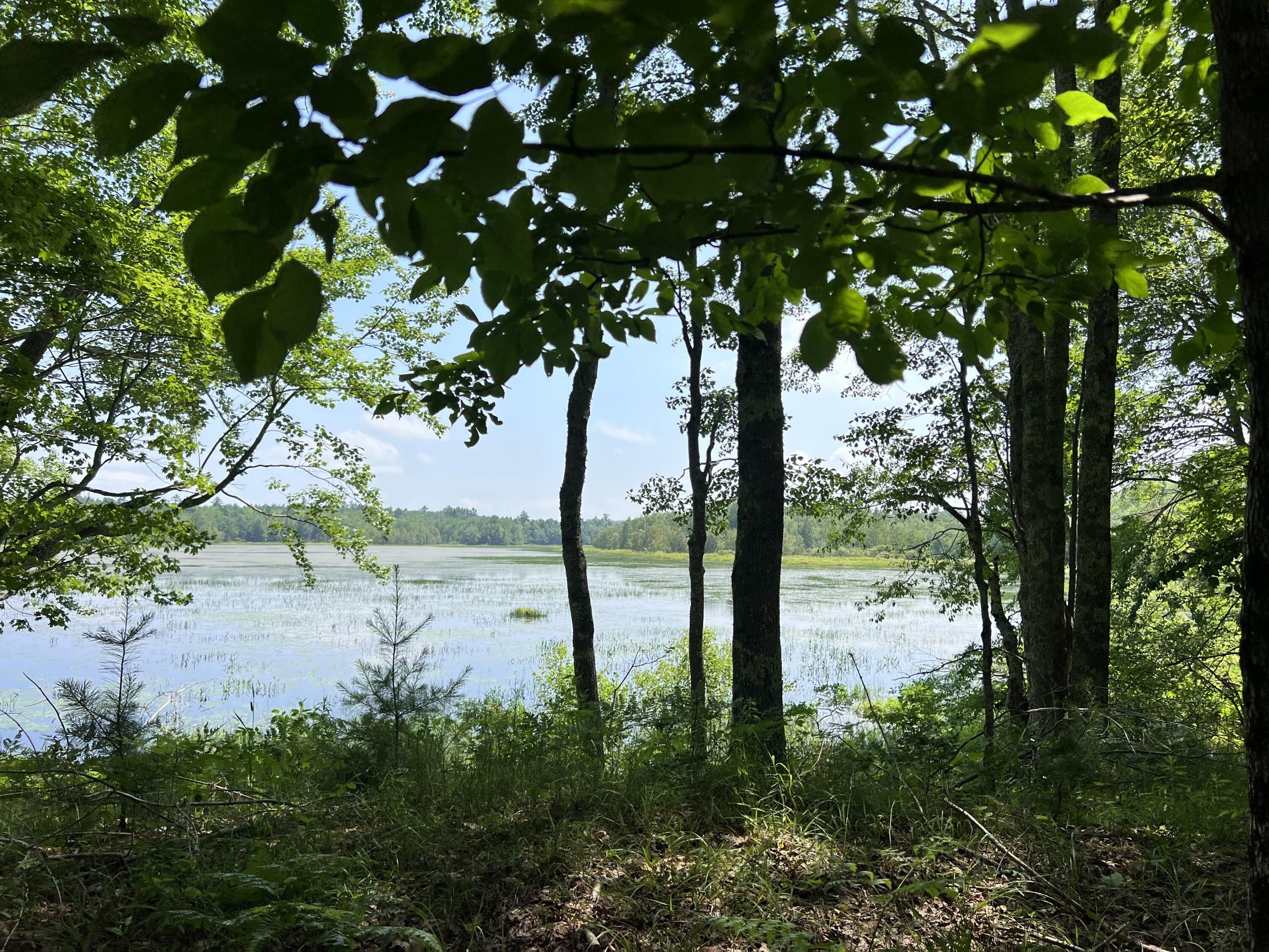 17 Acres, Weymouth Road, Morrill, ME 04952 Land and Farm