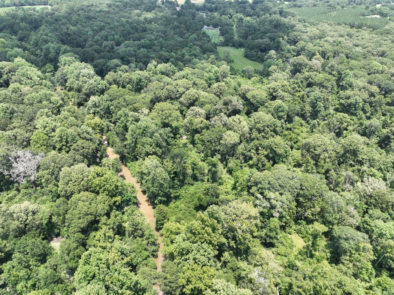 20.44 Acres, Grant St, Clinton, LA 70722 Land and Farm