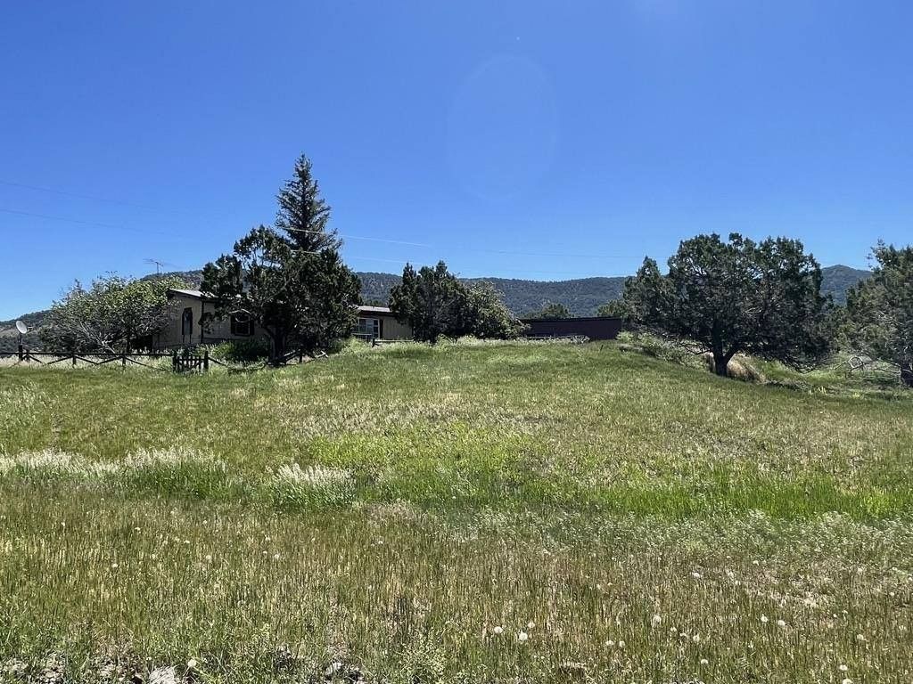 12 Acres, 15452 Red Mountain Lane, Collbran, CO 81624 Land and Farm