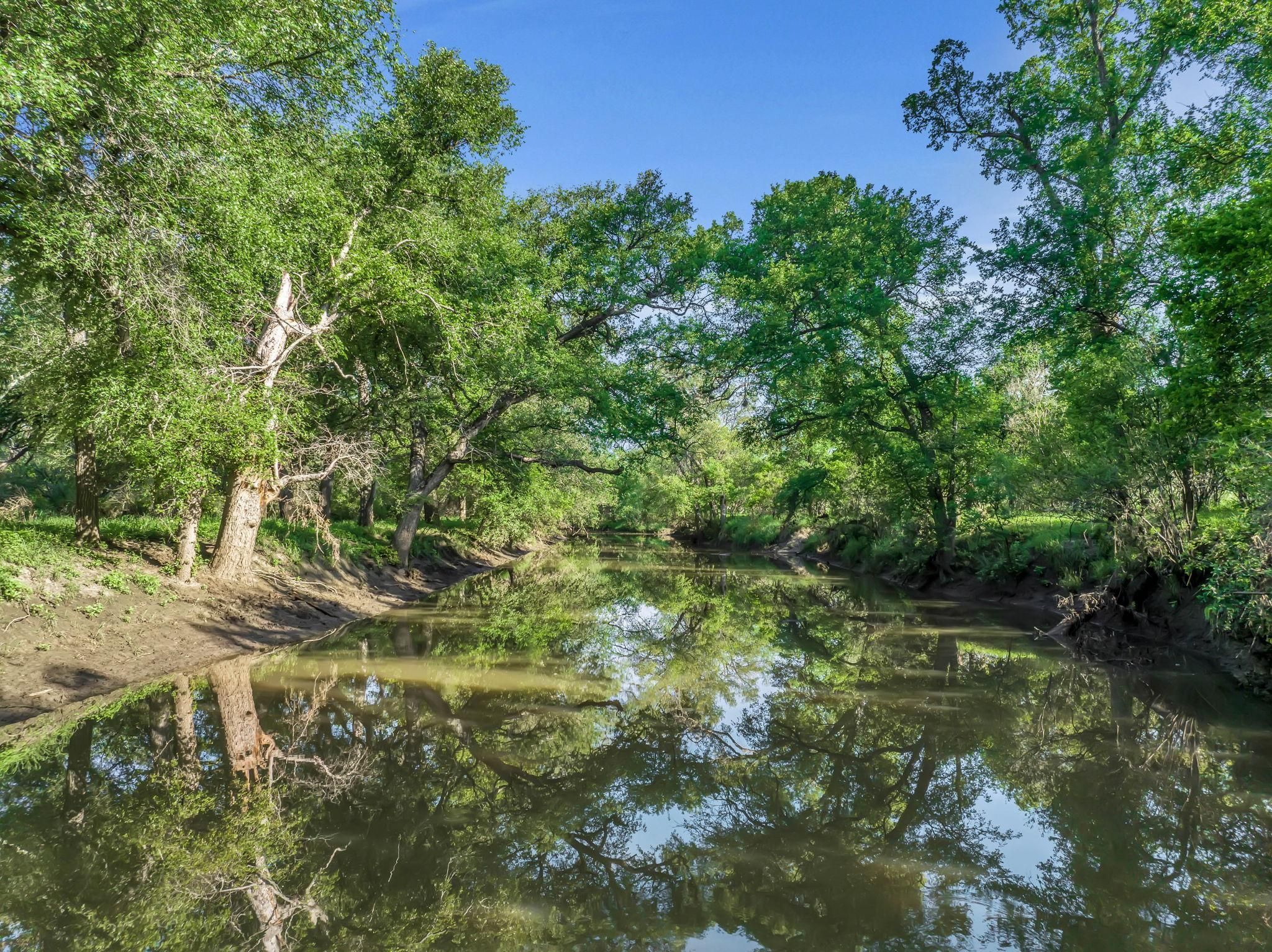 Hunting Haven FM 462, Yancey, TX 78886 MLS cb61523 Land and Farm