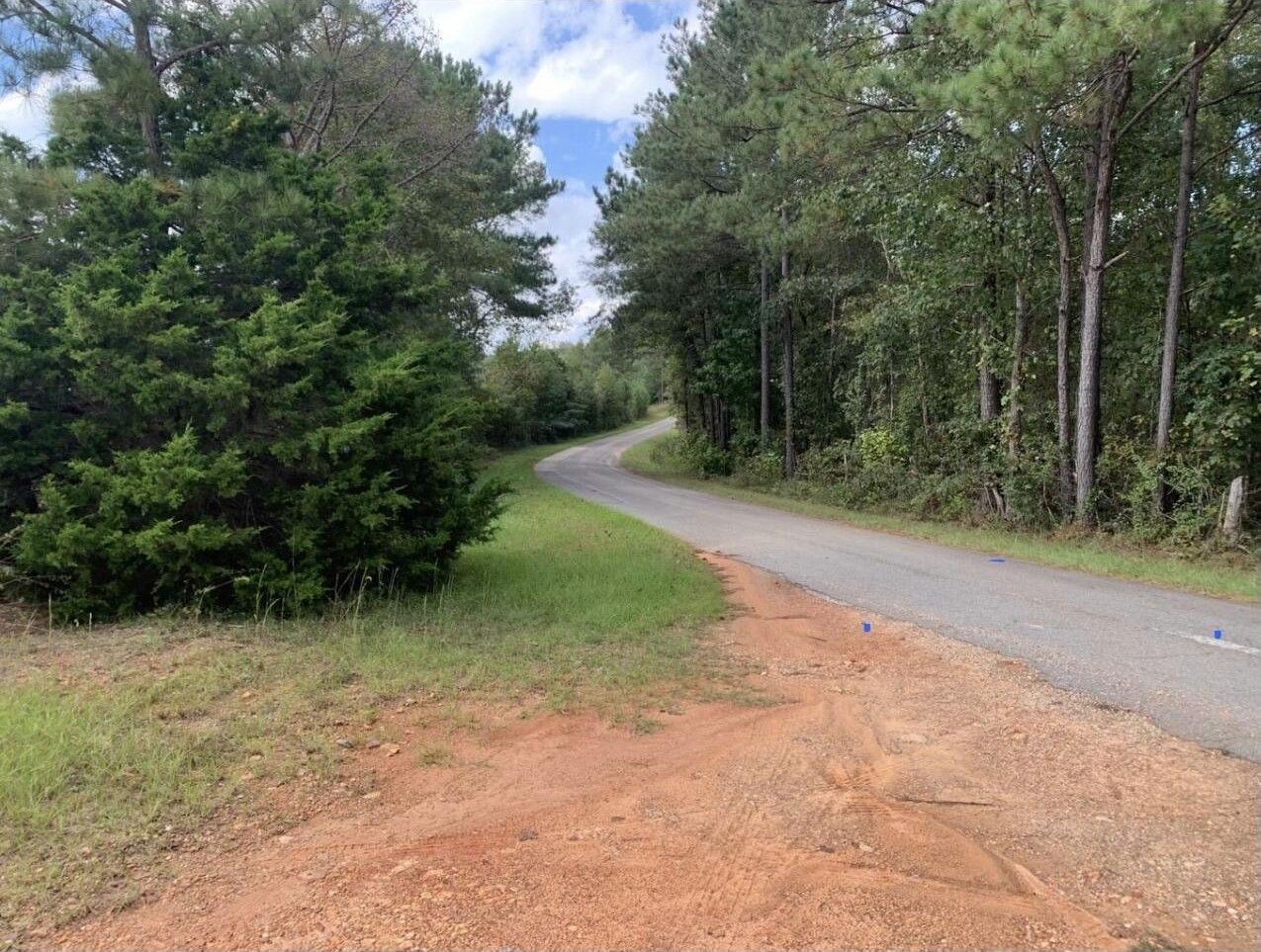 5 Acres, 5 Acres on Obed Loop, Dadeville, AL 36853 Land and Farm