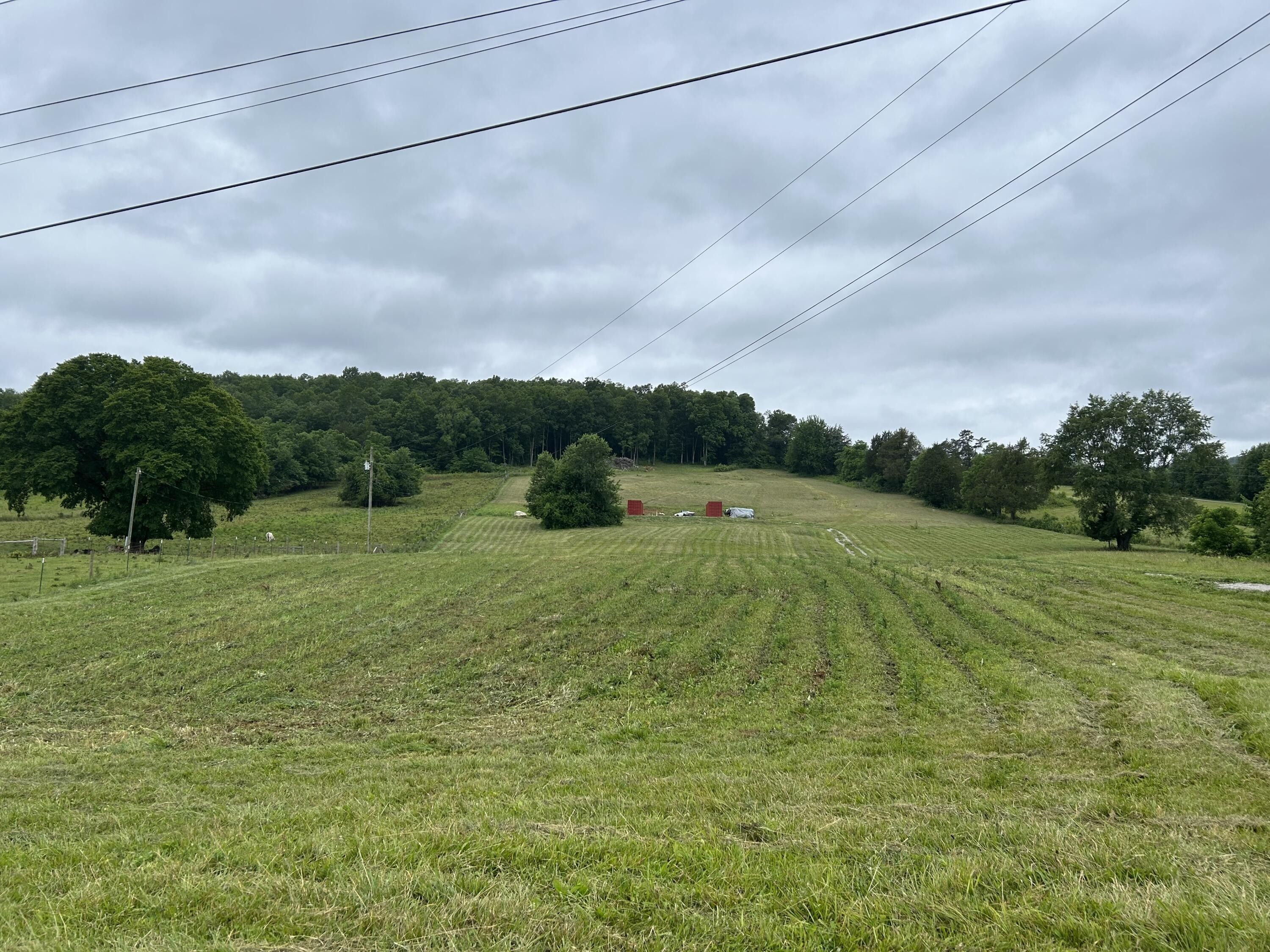 13.88 Acres, 13.88 acre E Hwy 92, Monticello, KY 42633 Land and Farm