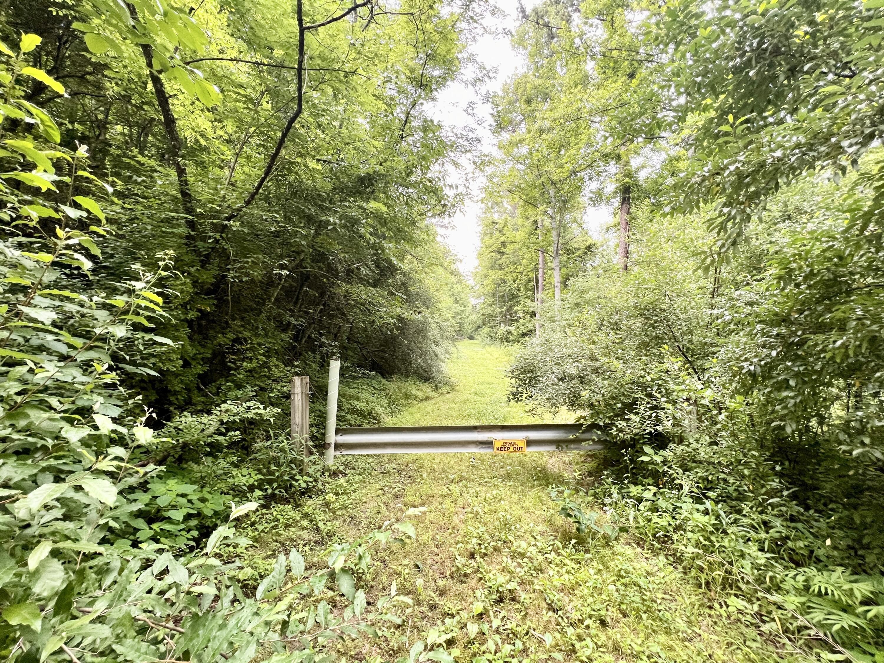 76.3 Acres, 00 Fannin Roscoe Rd, Sandy Hook, KY 41171 Land and Farm