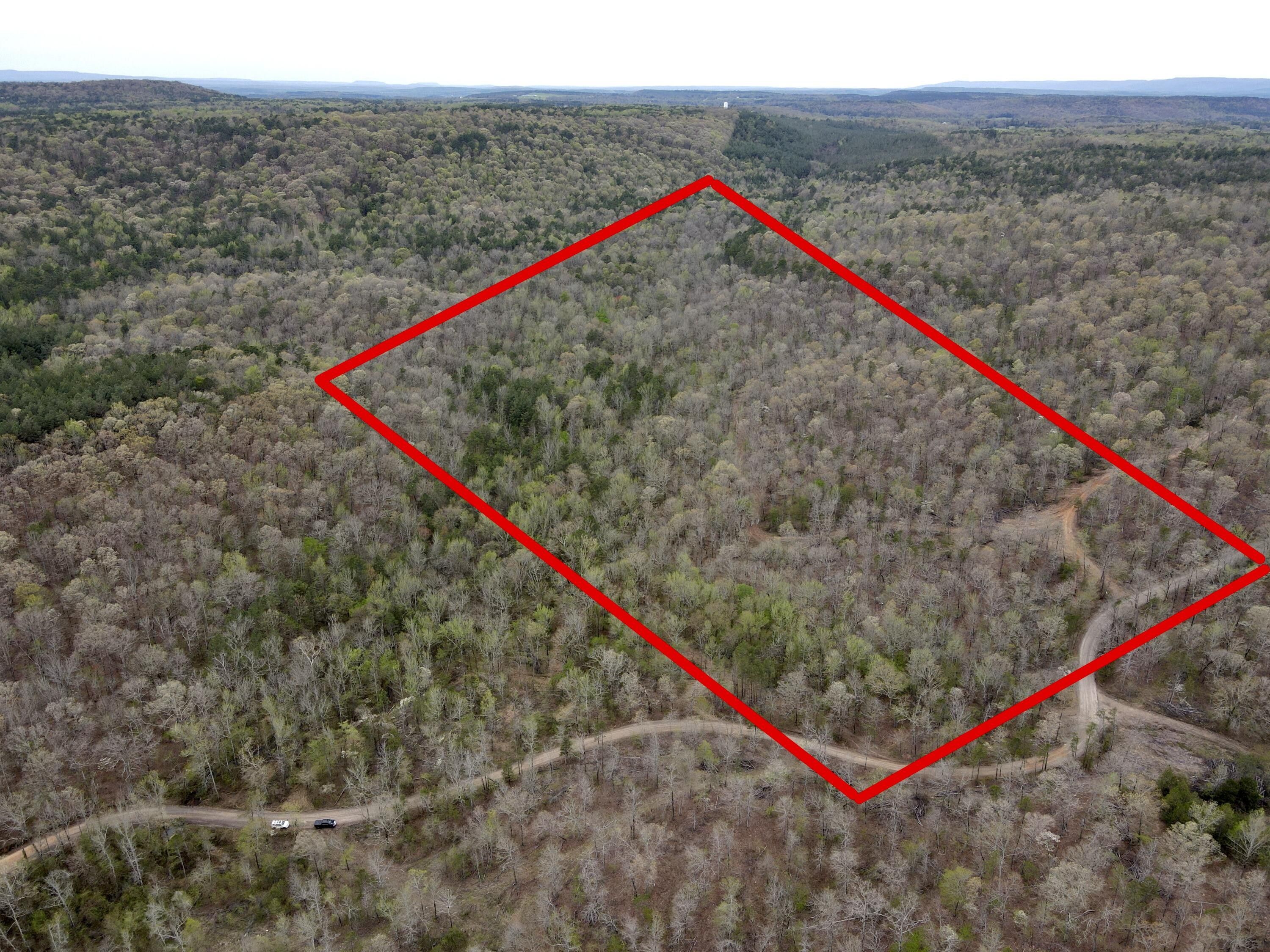 80 Acres, Worshaw Mountain Road, Dover, AR 72837 Land and Farm
