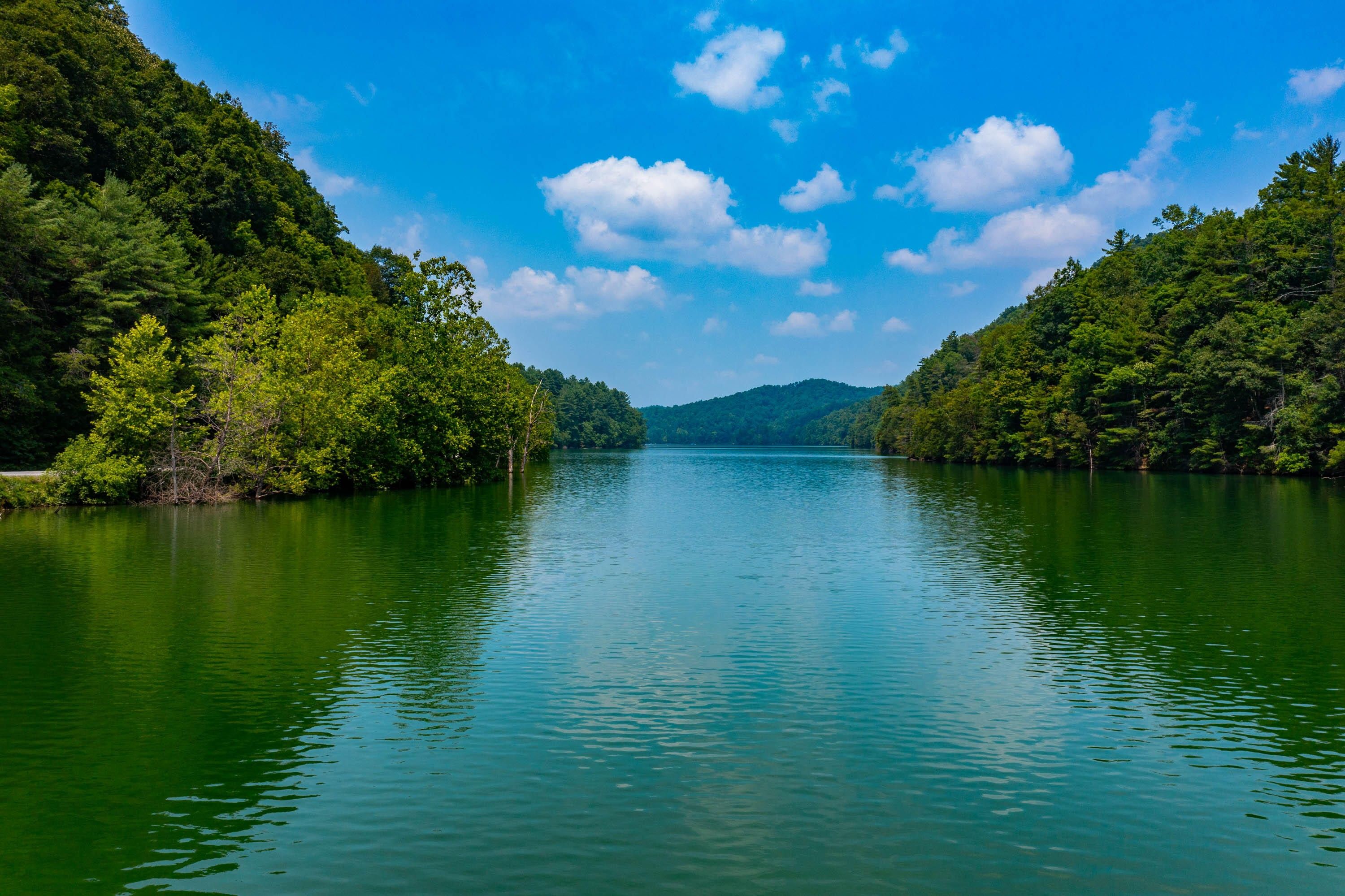 45.7 Acres, Tbd Jacob Creek Road, Bristol, TN 37620 Land and Farm