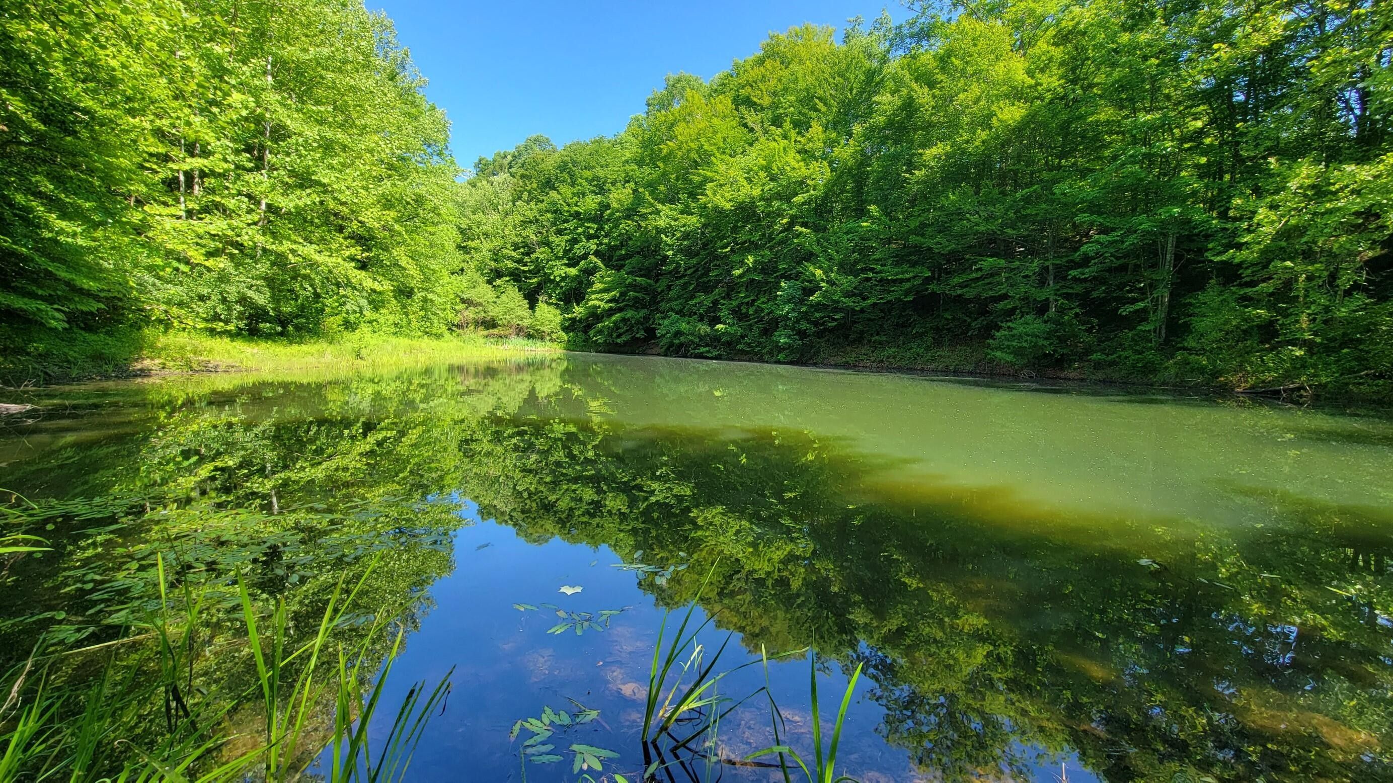 112 Acres, 0 Emanuel Hollow Road, Barbourville, KY 40906 Land and Farm