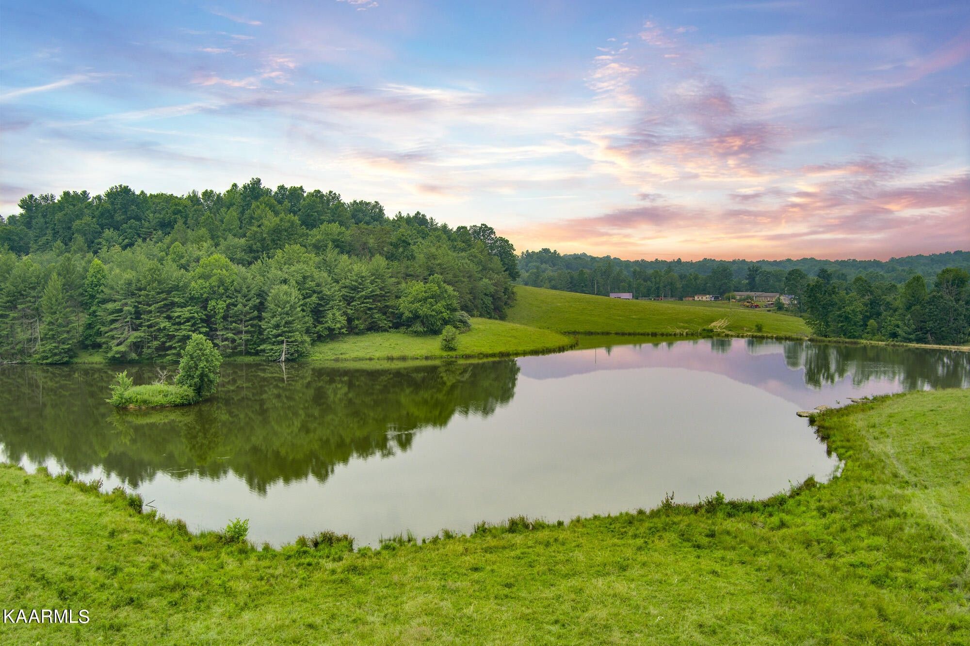 88.36 Acres, 441 Loop Rd, Sunbright, TN 37872 Land and Farm