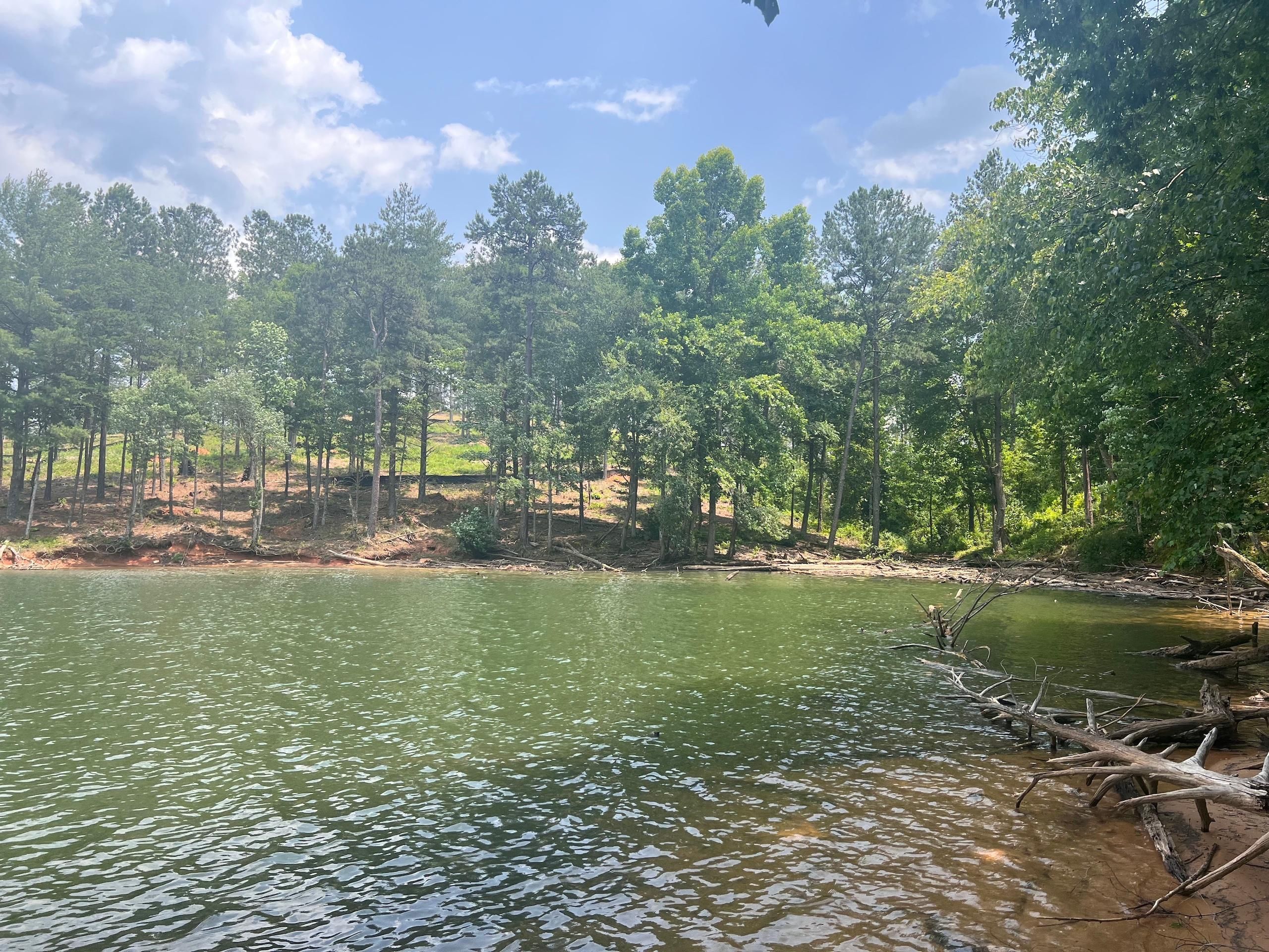 1.67 Acres, 2156 ELLINGWOOD PT, Lot 111, Connelly Springs, NC 28612