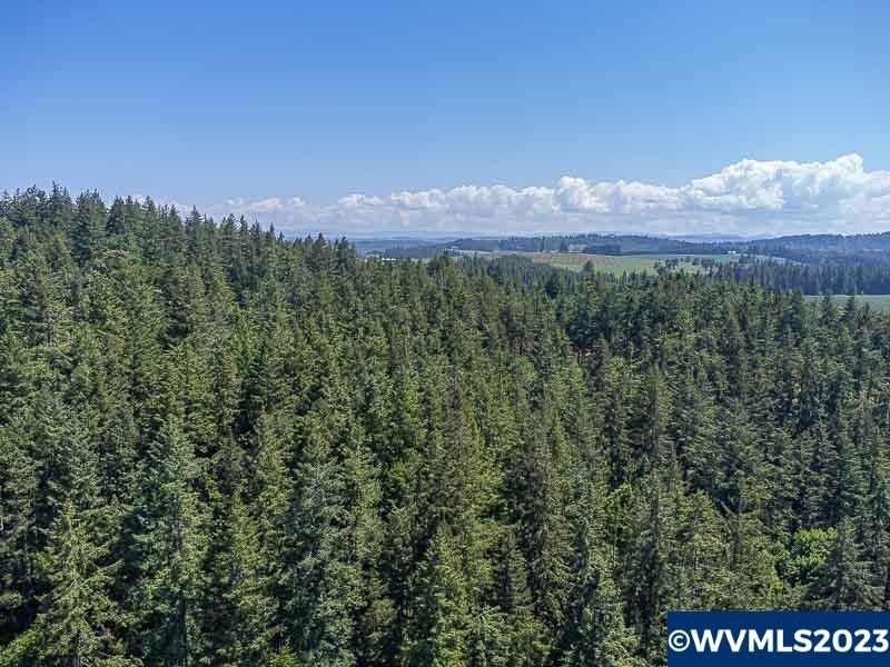 11.67 Acres, 6543 Indian Springs Rd NE, Scotts Mills, OR 97375 Land