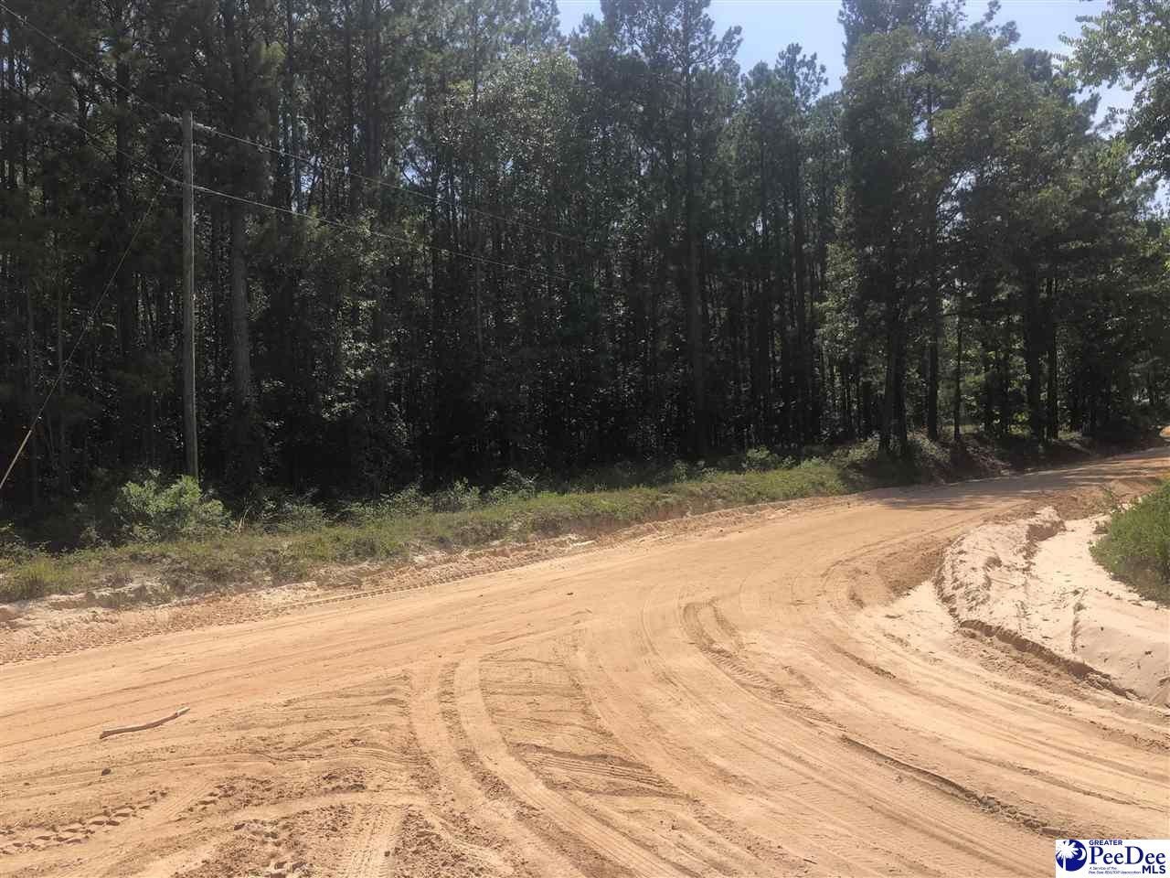 7 Acres, TBD Sandy Hill Road, Hartsville, SC 29550 Land and Farm