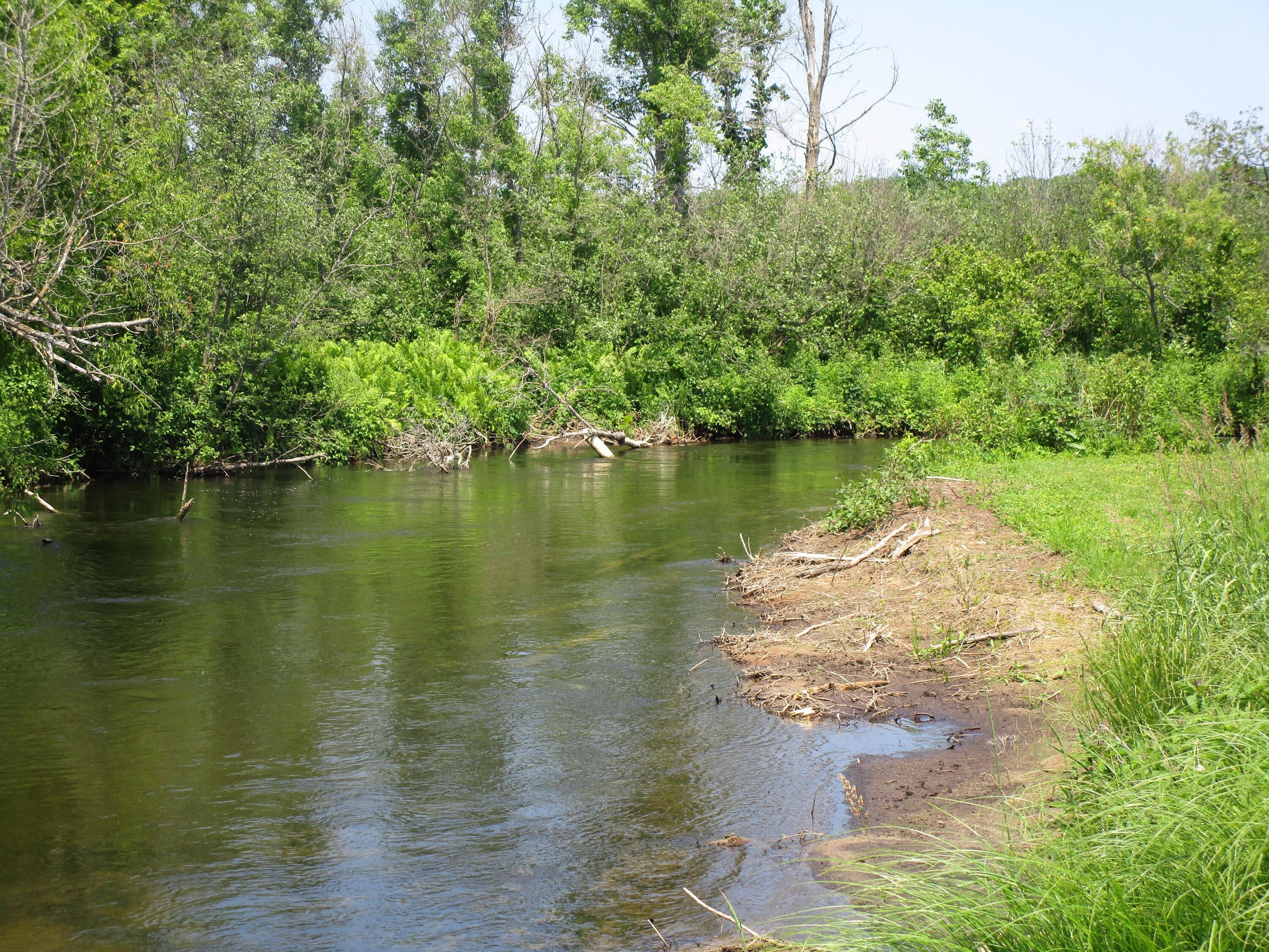 4 Acres, S Straits Highway, Wolverine, MI 49799 Land and Farm