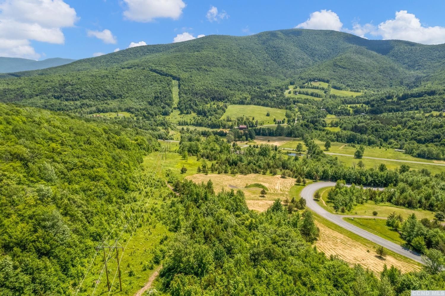 5.2 Acres, 0 Overlook Drive, Lot 8A, Lexington, NY 12452 Land and Farm