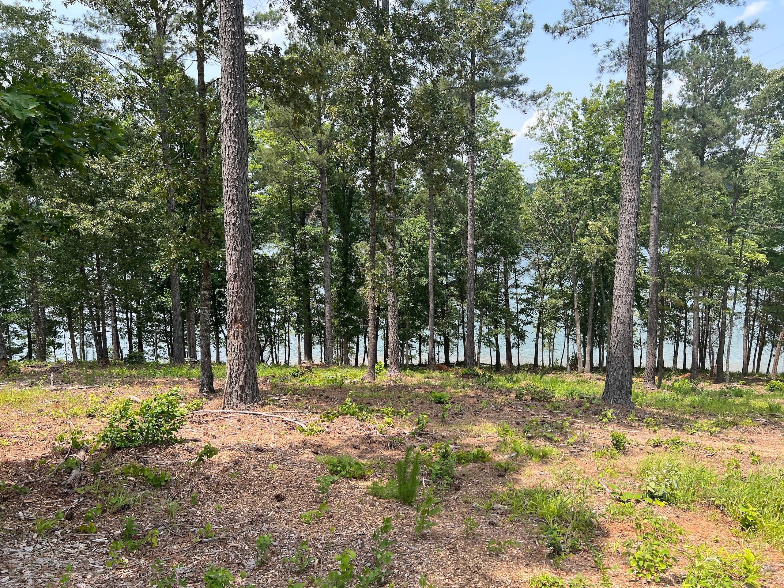 0.75 Acres, 3038 Capitol Peak Summit Unit 114, Connelly Springs, NC