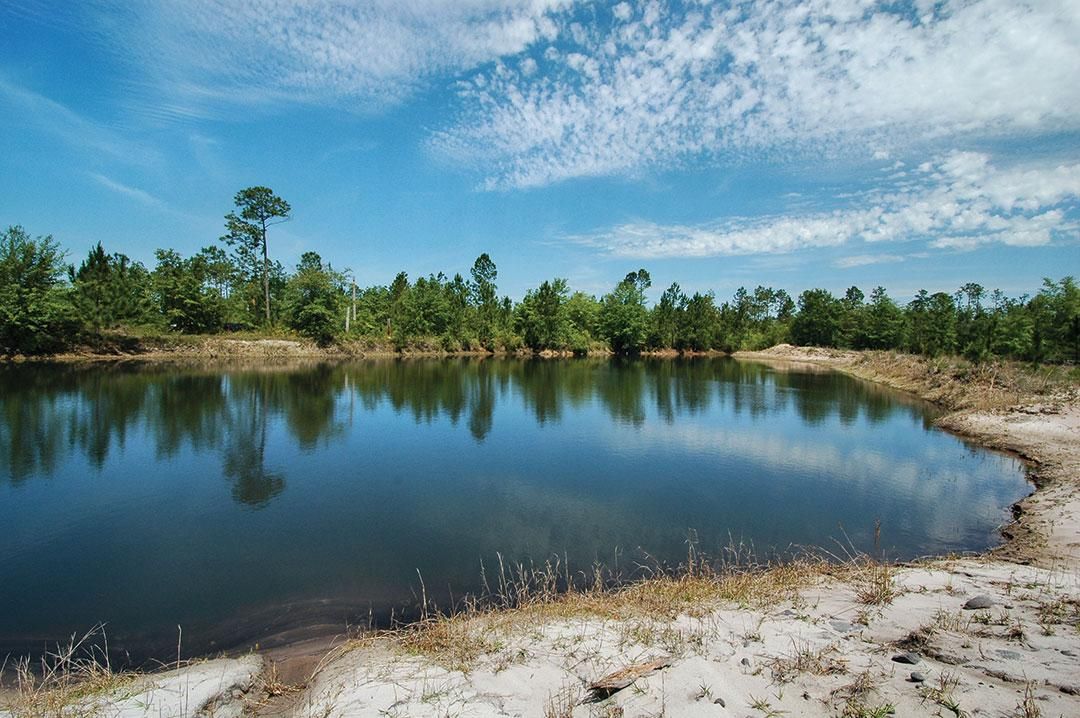 230 acres in Fountain, FL, 32438 Land and Farm