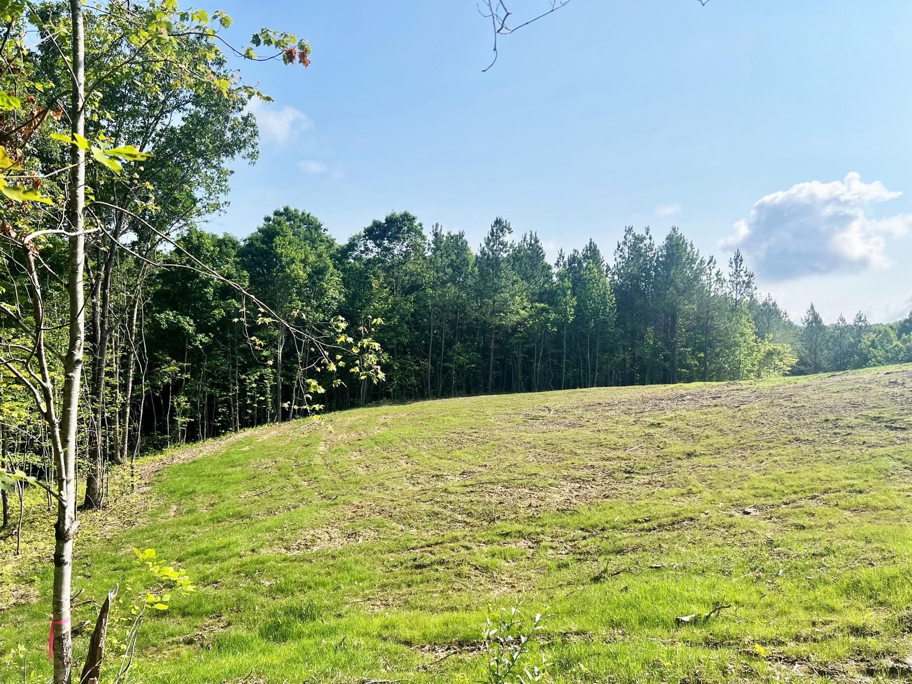 Old Rugby Pike, Robbins, TN 37852 Land and Farm