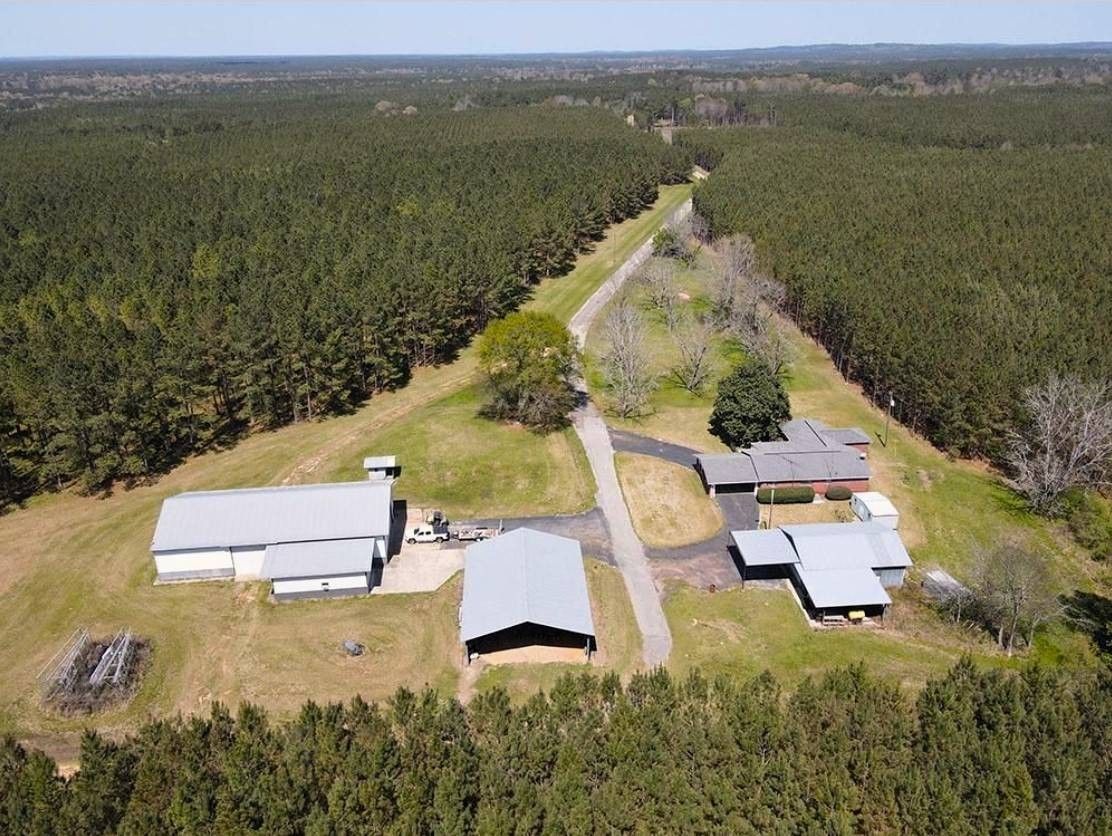 305 Acres, 167 County Road 2349, Louin, MS 39338 Land and Farm