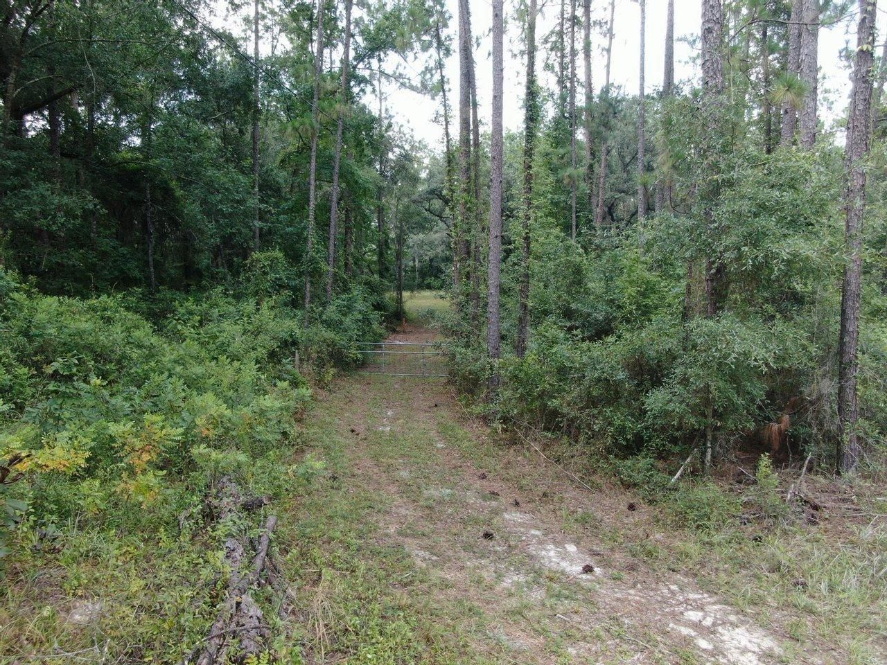 389 NE Timber Loop, Lee, FL 32059 Land and Farm