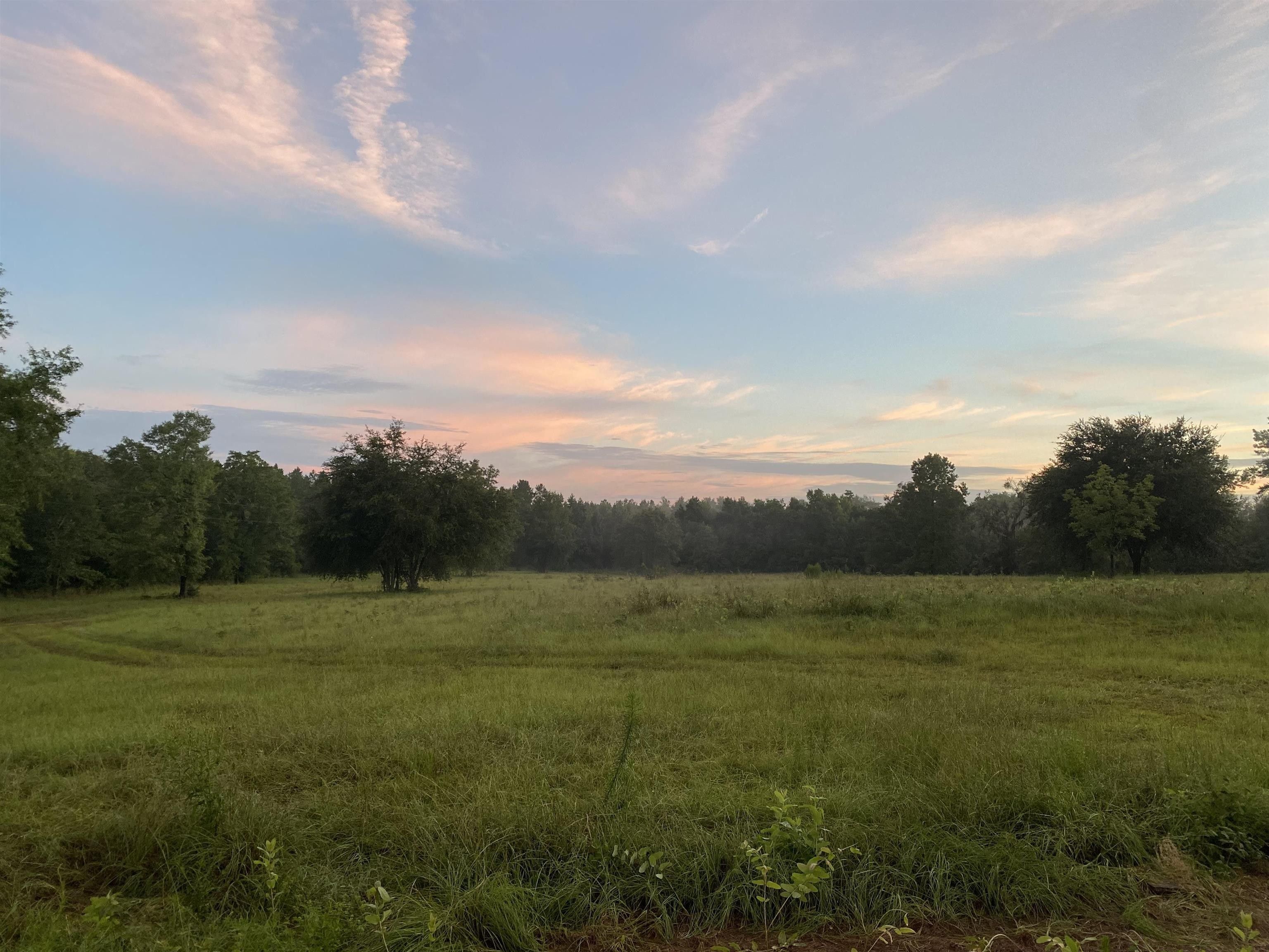 37.37 Acres, 2312 Hartsfield Road, Monticello, FL 32344 Land and Farm