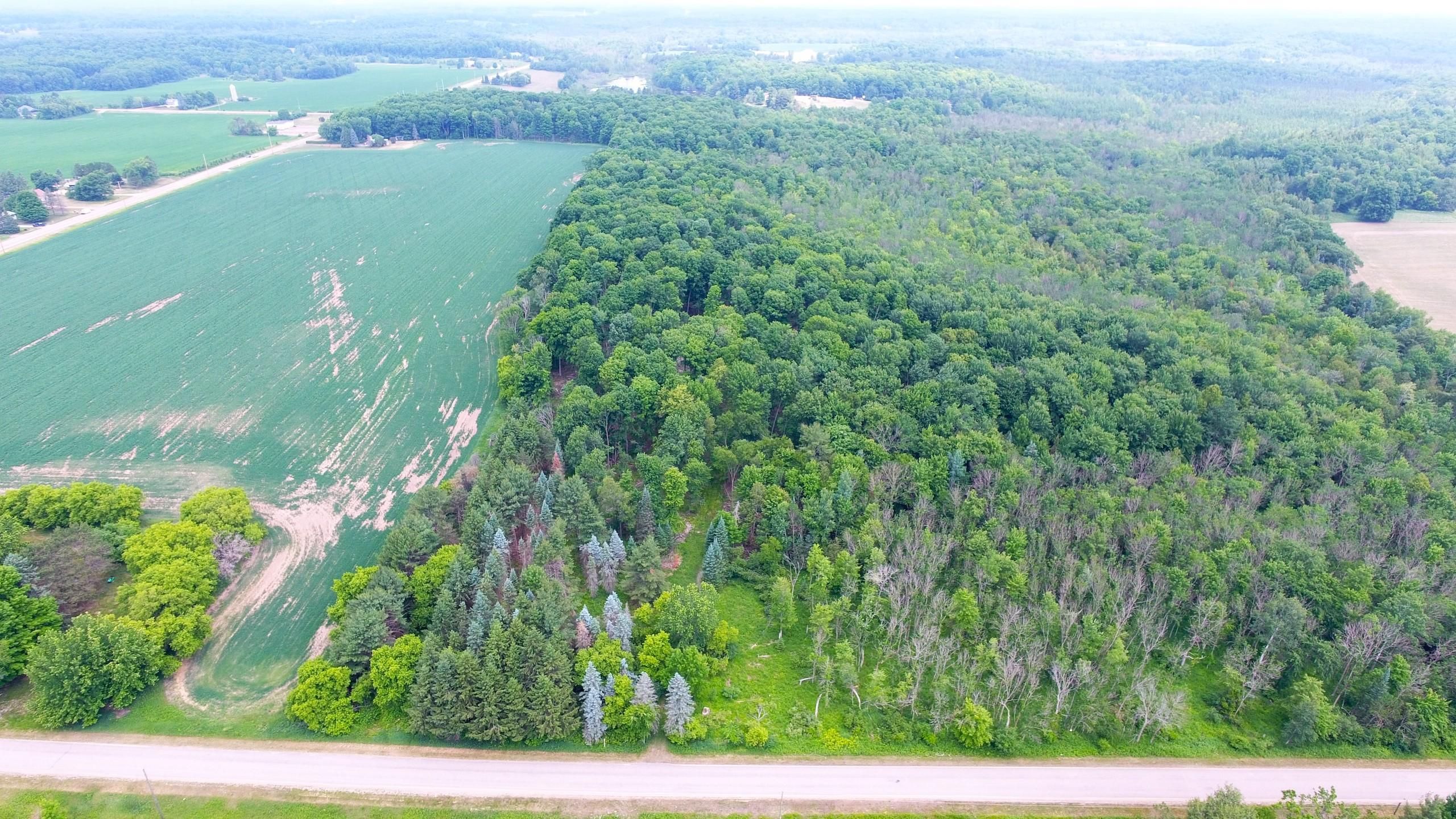 30.15 Acres, W15616 Blueberry Road, Bowler, WI 54416 Land and Farm