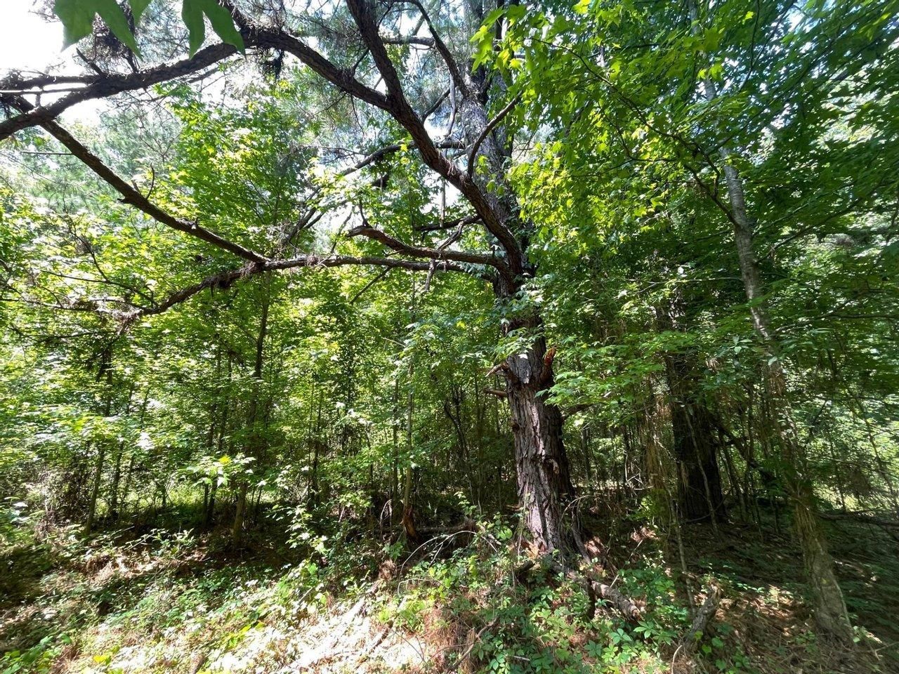 4.5 acres in Wetumpka, AL, 36092 Land and Farm