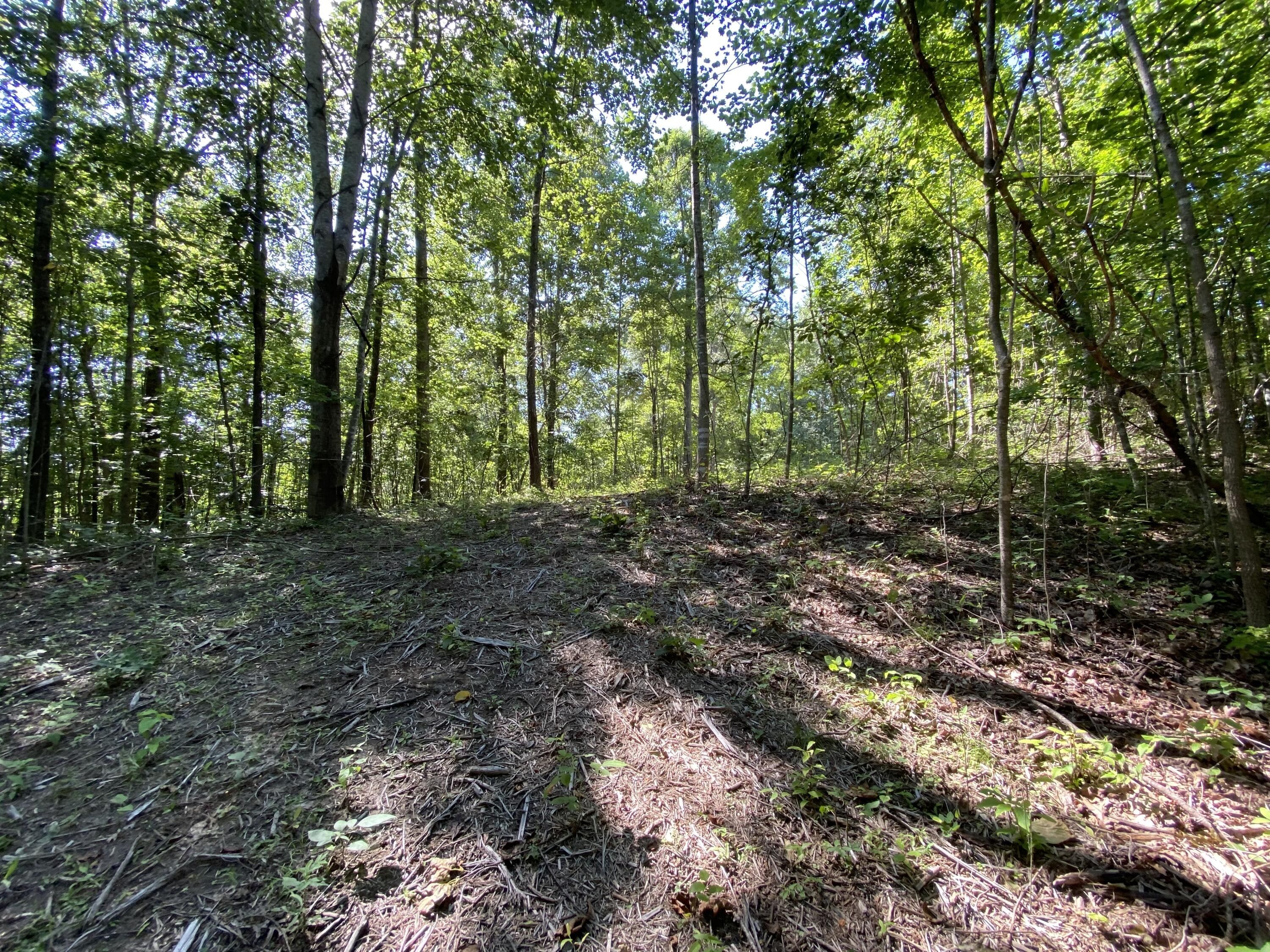 11 Acres, Tract 18 Bluegrass Hills, Greensburg, KY 42743 Land and Farm