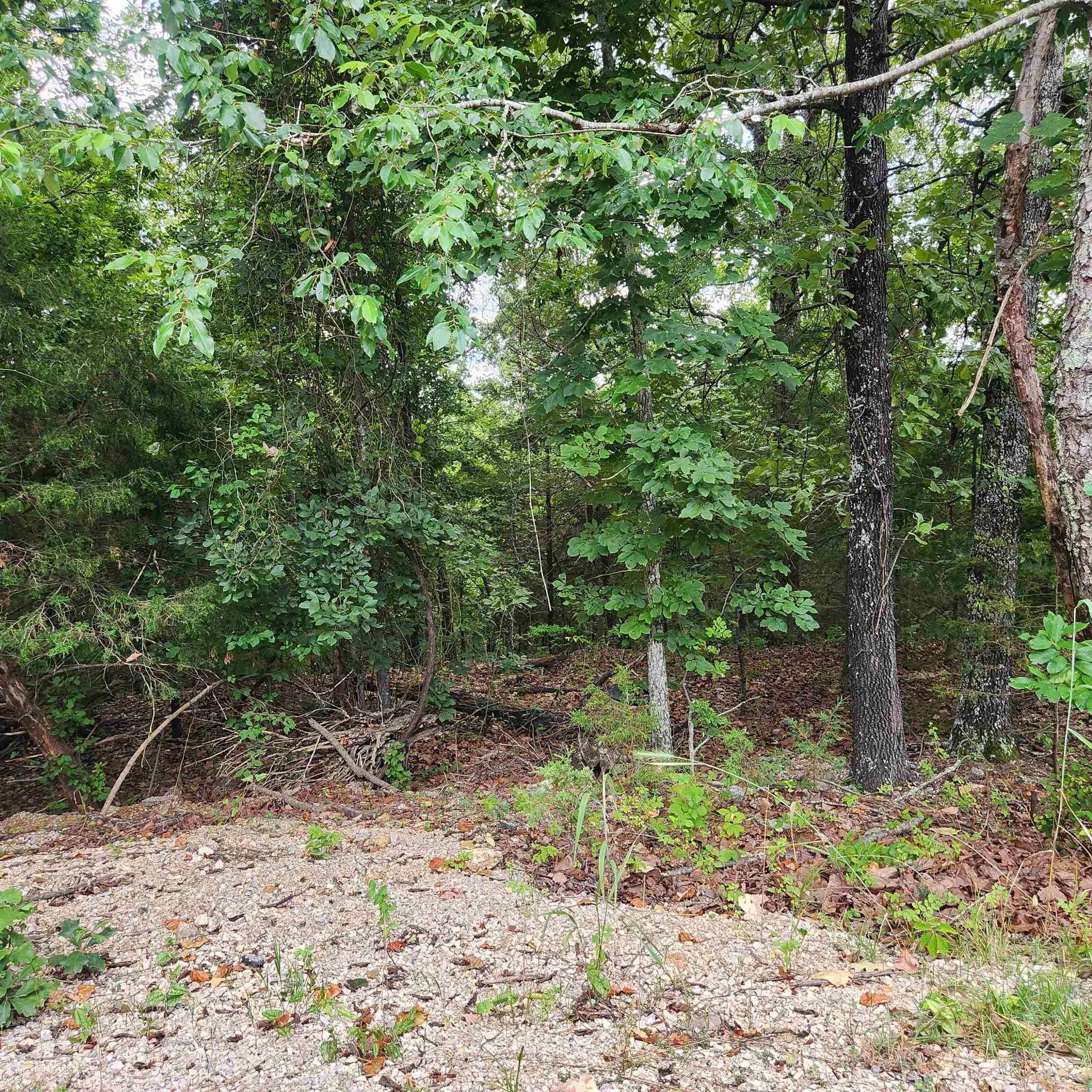0.52 Acres, L38 B4 Topez Drive, Cherokee Village, AR 72529 Land and