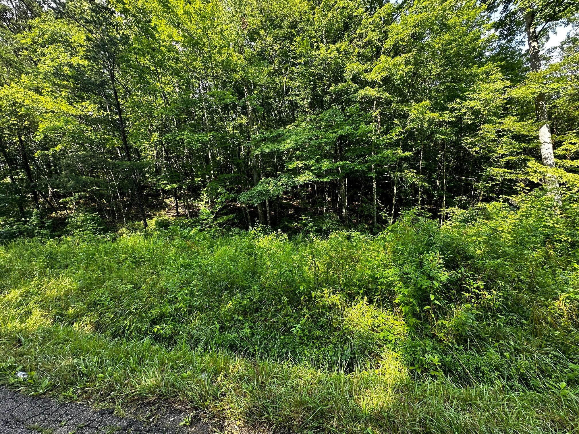 45 Acres, 9999 Tidal Wave Road, Corbin, KY 40701 Land and Farm