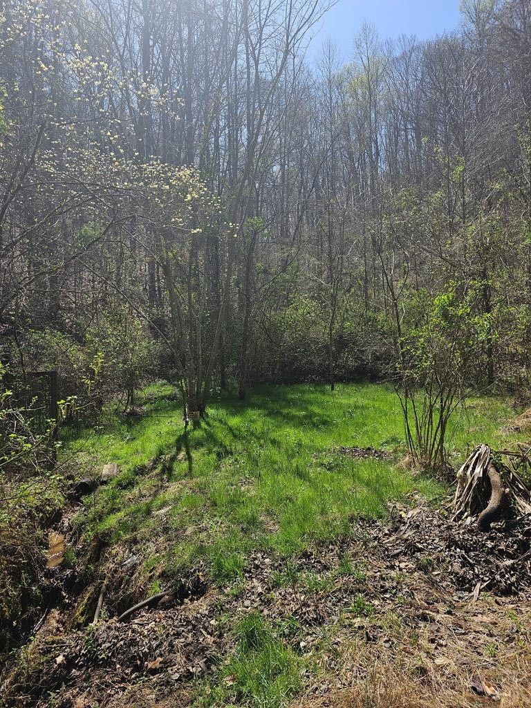 Myers Hollow Rd. Road, Seymour, TN 37865 MLS 611944 Land and Farm