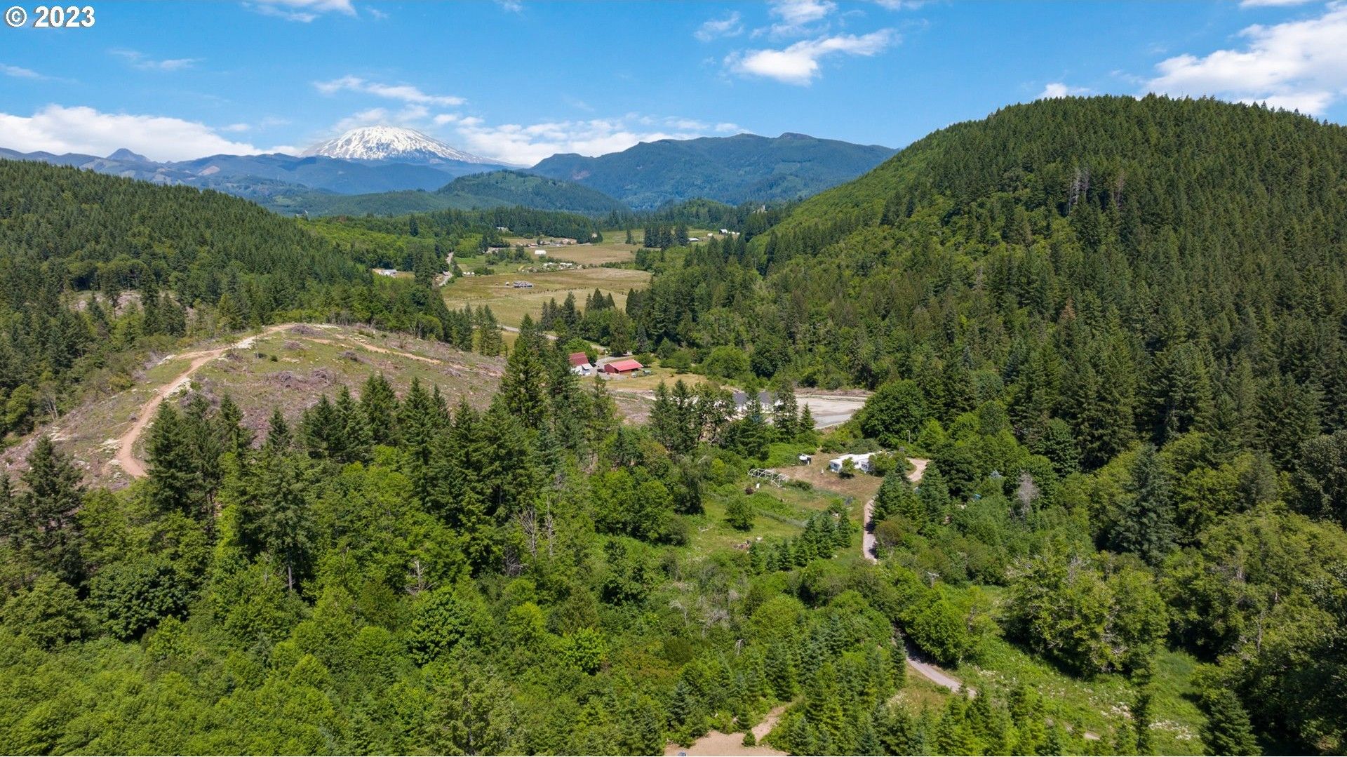 5.33 Acres, 28610 NE 433RD ST, Amboy, WA 98601 Land and Farm