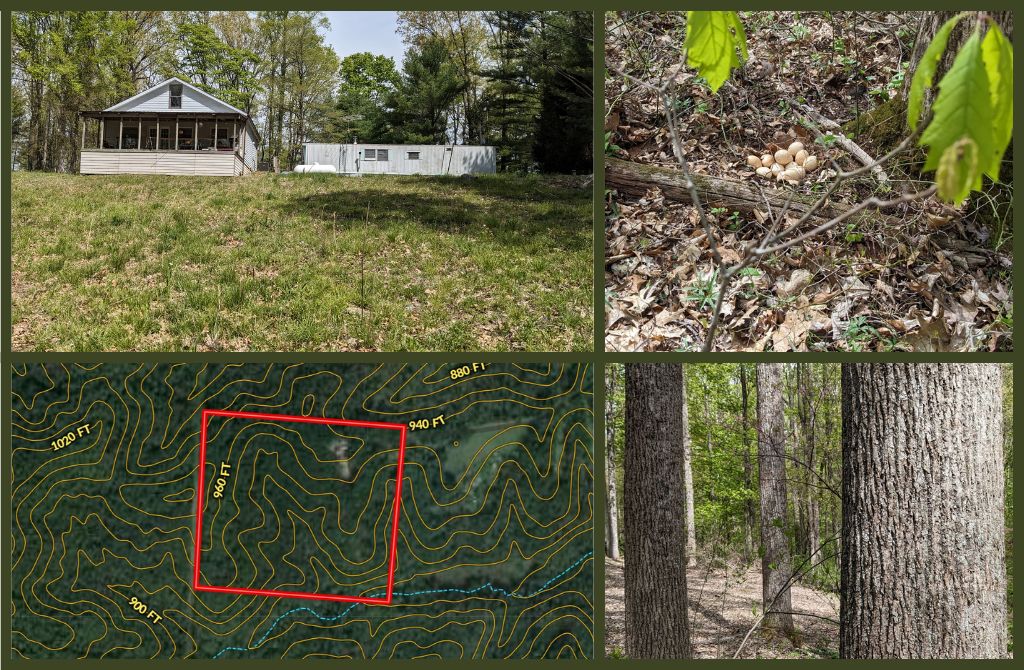 42.6 Acres, 59082 McKee Road, Mcarthur, OH 45651 Land and Farm