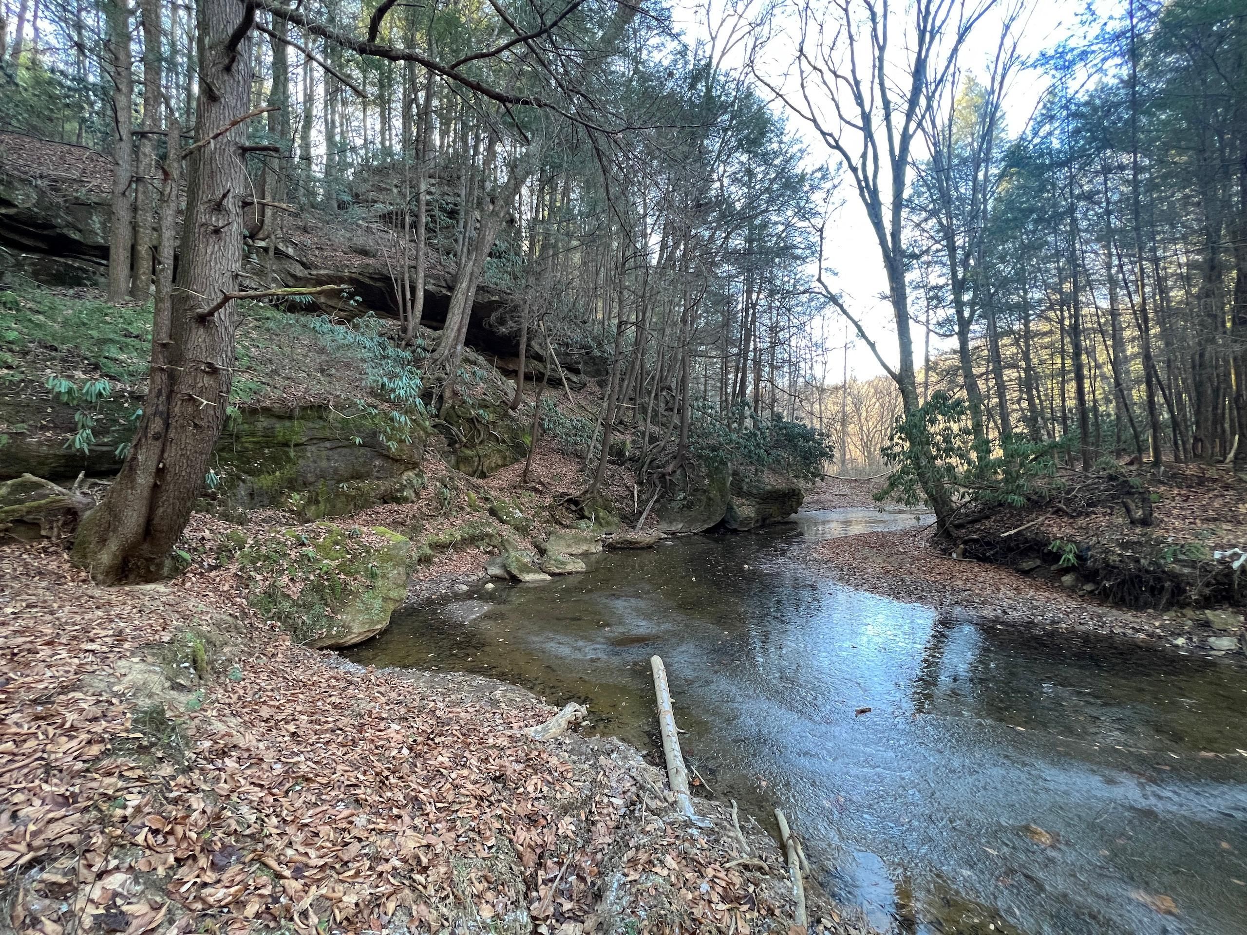 Devils Fork Road, West Liberty, KY 41472 Land and Farm