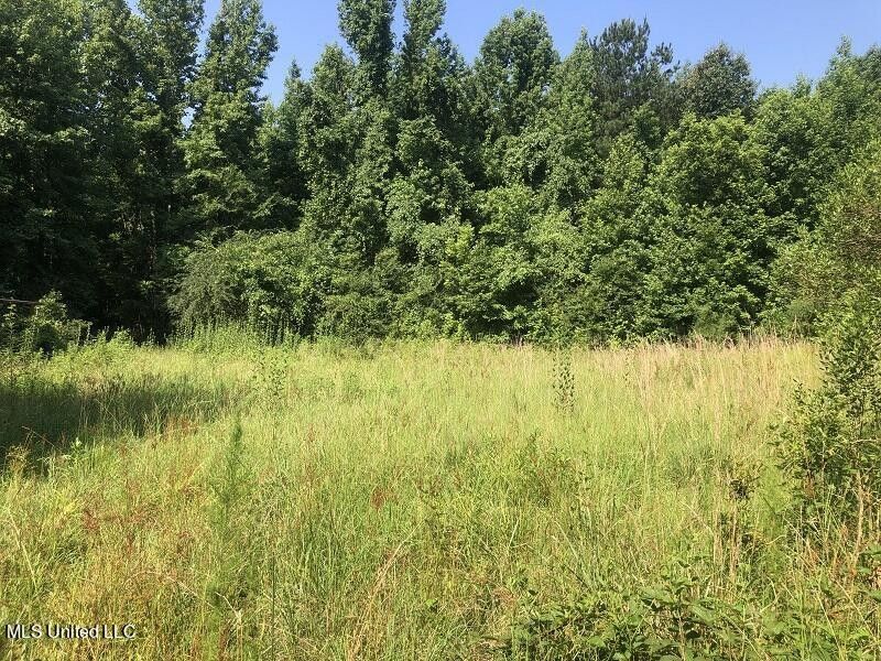 135.17 Acres, Hwy 14, Goodman, MS 39079 Land and Farm