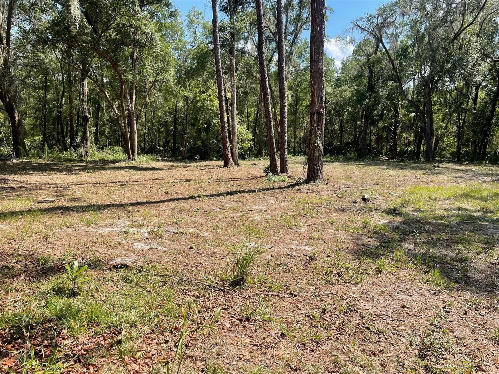 1 Acres, 0 SE COUNTY ROAD 346, Micanopy, FL 32667 Land and Farm