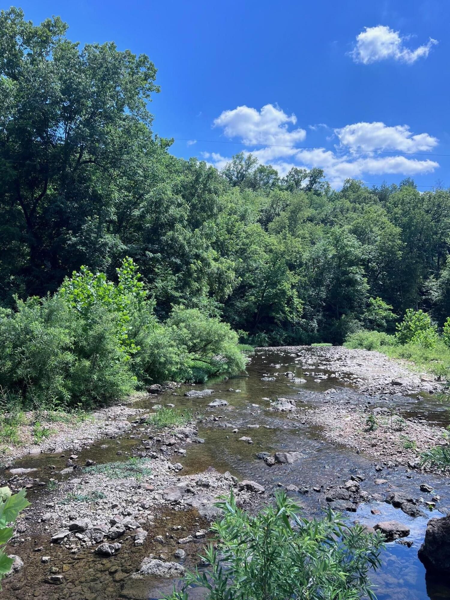 000 County Road 544, Caulfield, MO 65626 MLS 60246616 Land and Farm