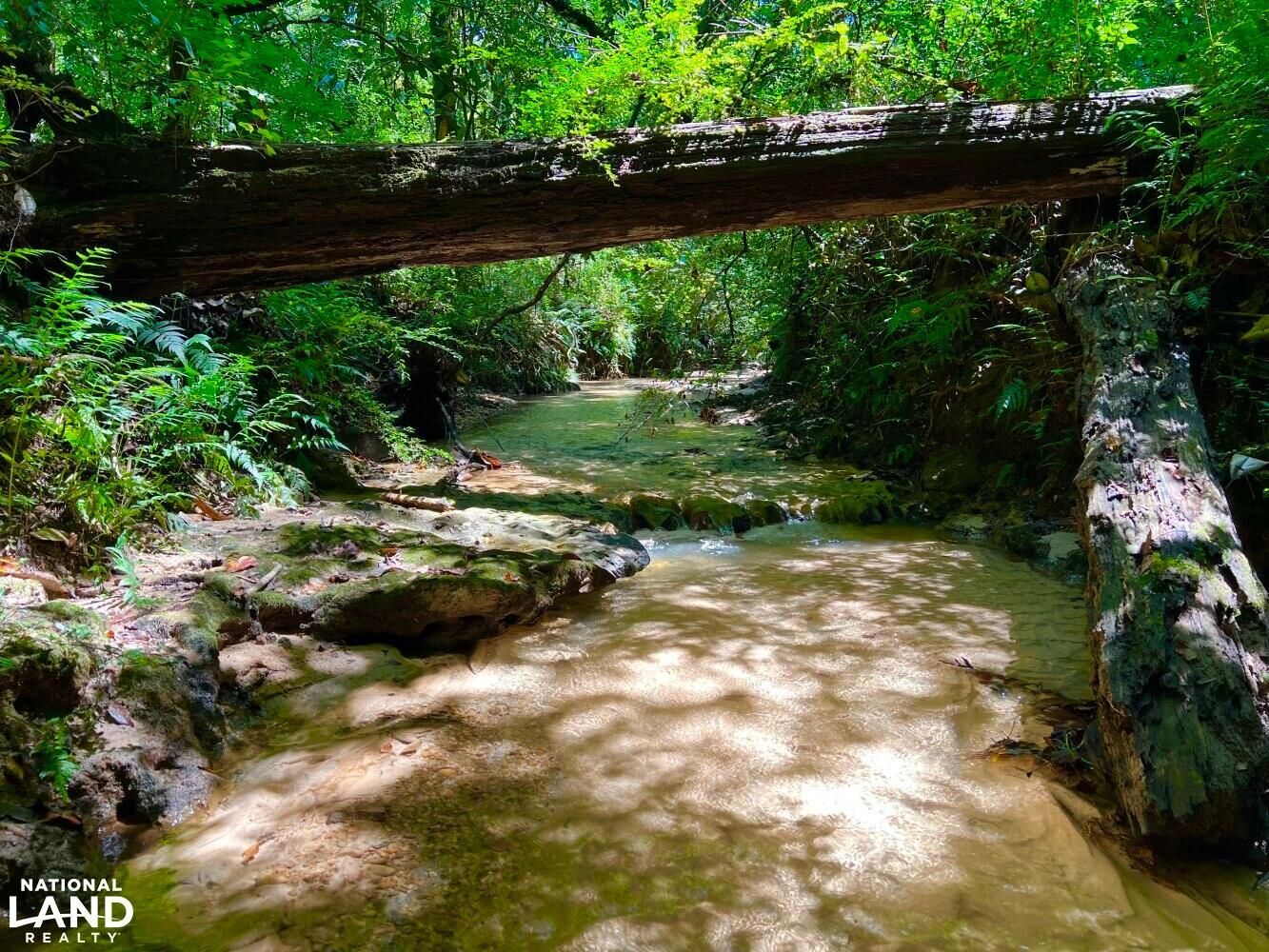 0 Hwy 59, Midland City, AL 36350 Land and Farm