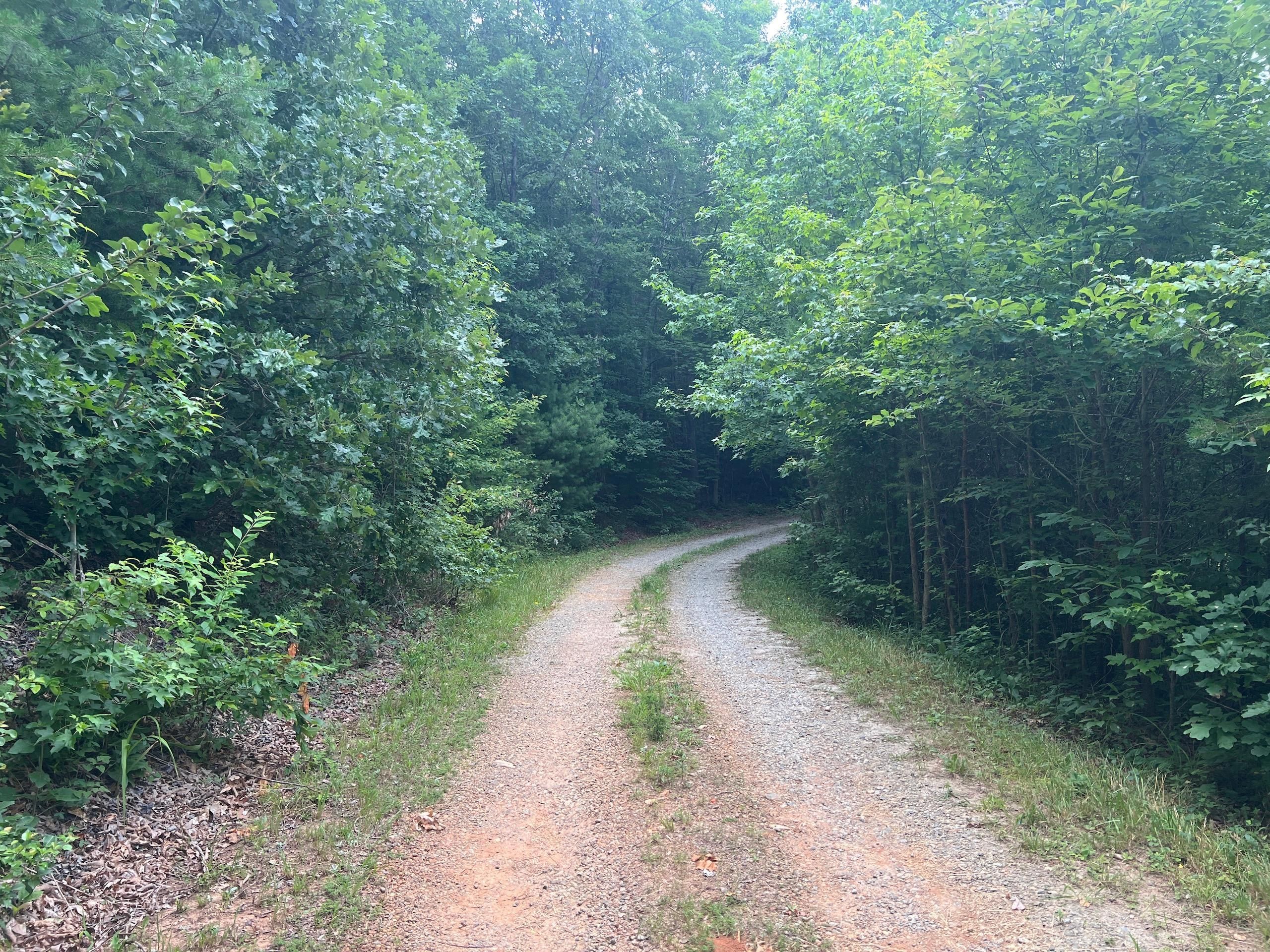 31 Acres, 740 N Fork Rd, Bostic, NC 28018 Land and Farm