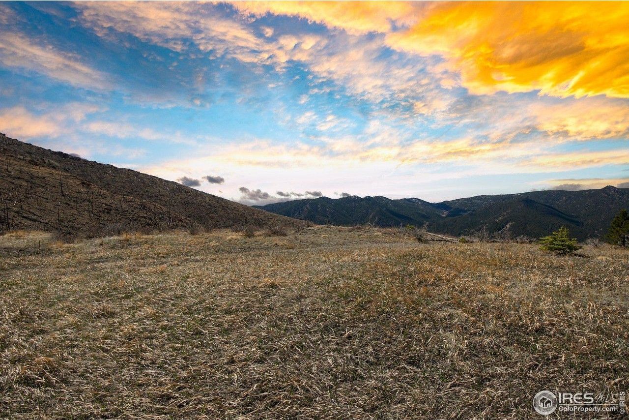 16.63 Acres, 1012 County Road 87J, Jamestown, CO 80455 Land and Farm