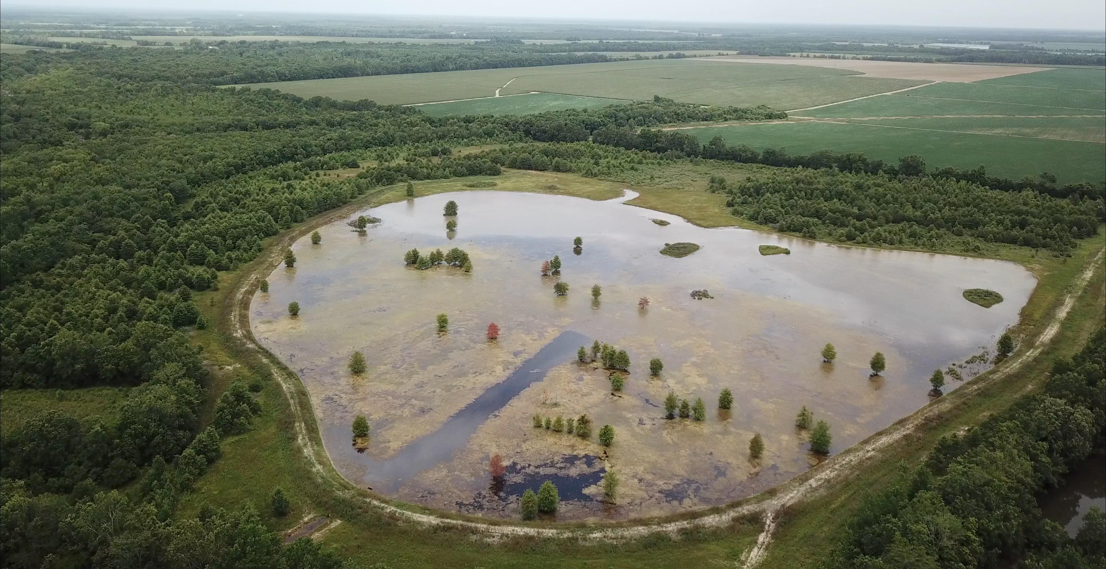 178 Acres, Fort Necessity, LA 71295 Land and Farm