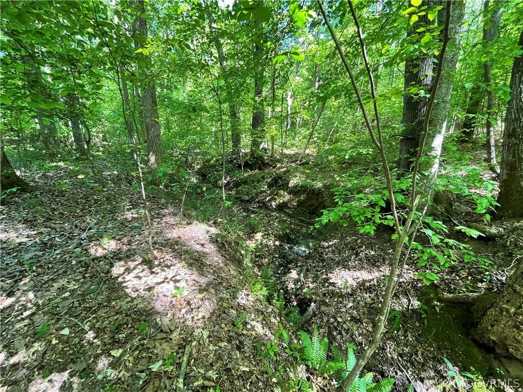 5 Acres, Fraher Lane, Amelia, VA 23002 Land and Farm
