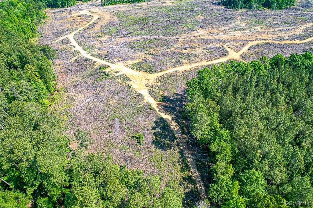 50 Acres, 50 Acres Pole Run Road, Disputanta, VA 23842 Land and Farm