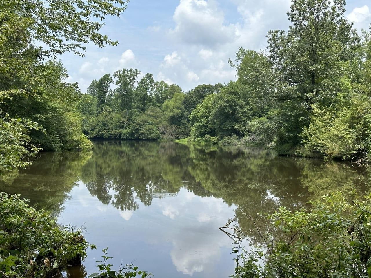 19 Acres, 0 Newburg Road, Haleyville, AL 35565 Land and Farm