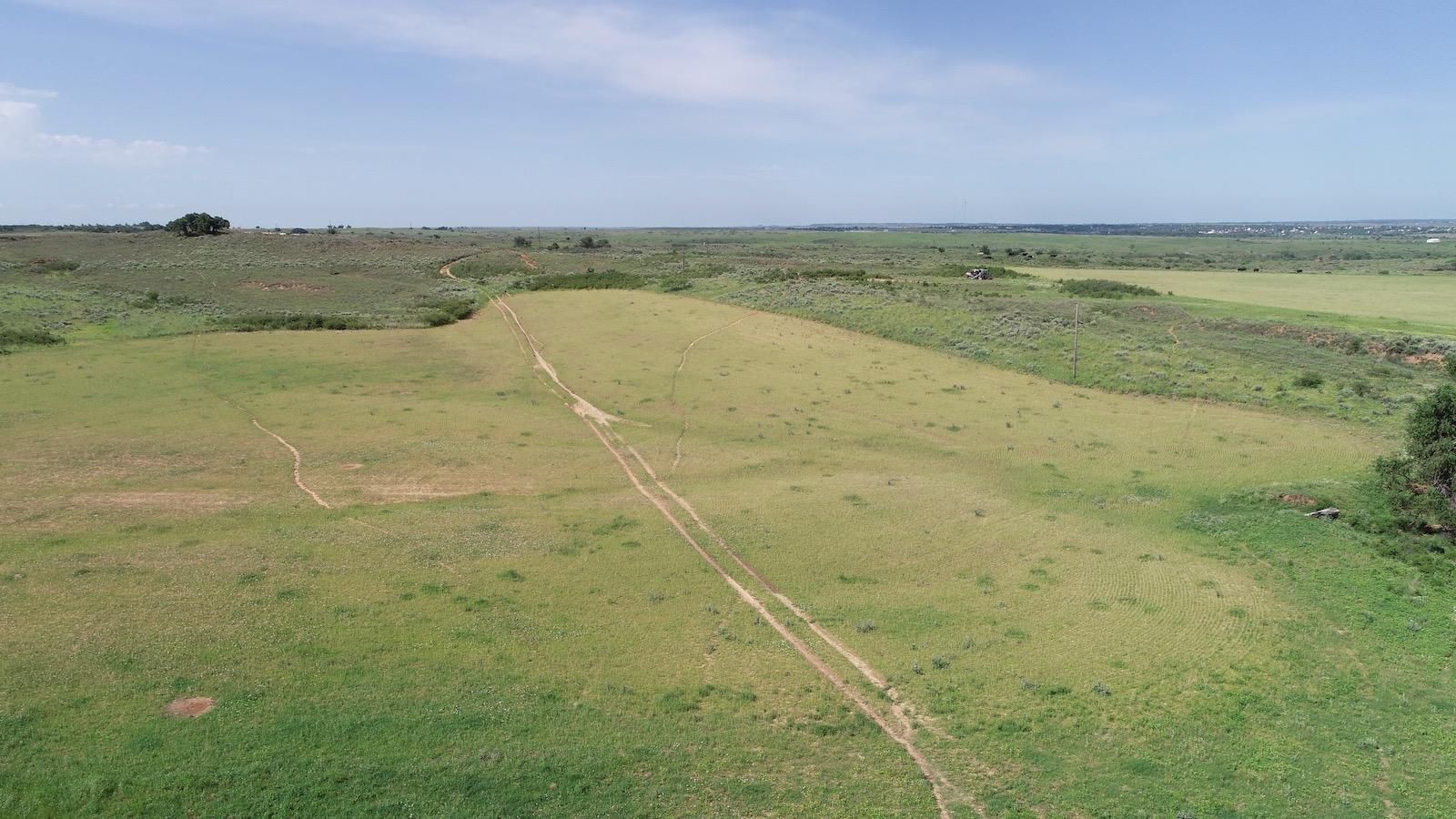 320 Acres, 650 County Road 19, Shamrock, TX 79079 Land and Farm