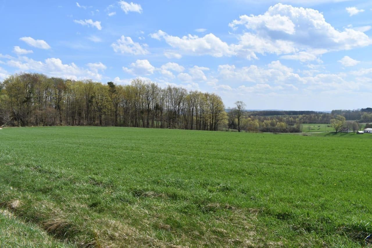 10 Acres, W. Cobb Road, Falconer, NY 14733 Land and Farm