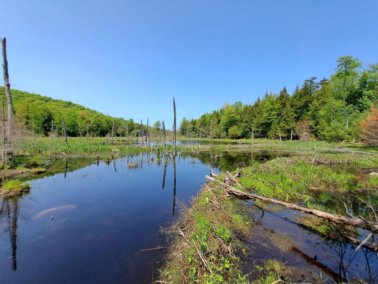 343.3 Acres, off Apple Creek Lane, Hadley, NY 12835 Land and Farm