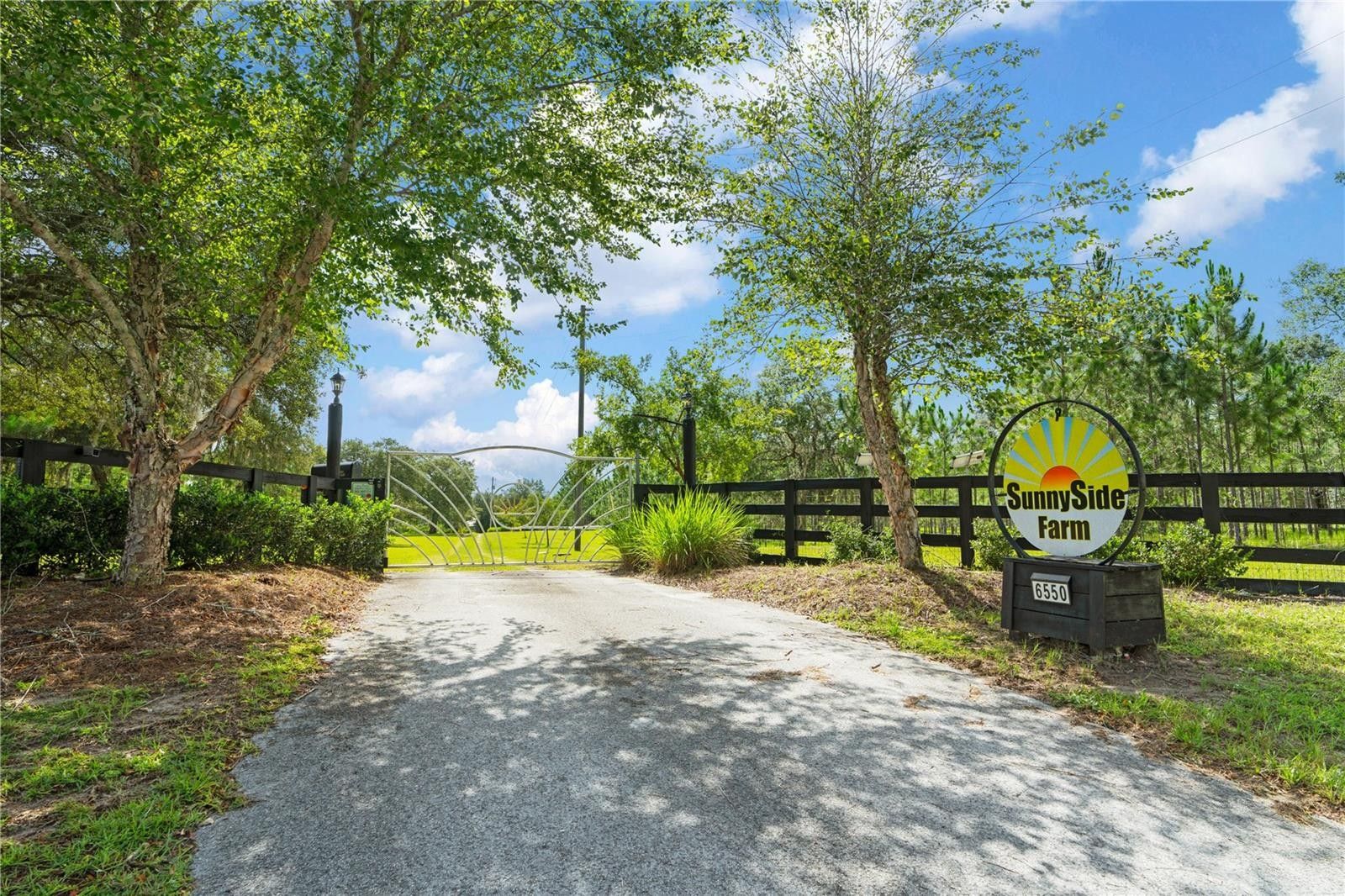 20 Acres, 6550 SE HIGHWAY 41, Morriston, FL 32668 Land and Farm