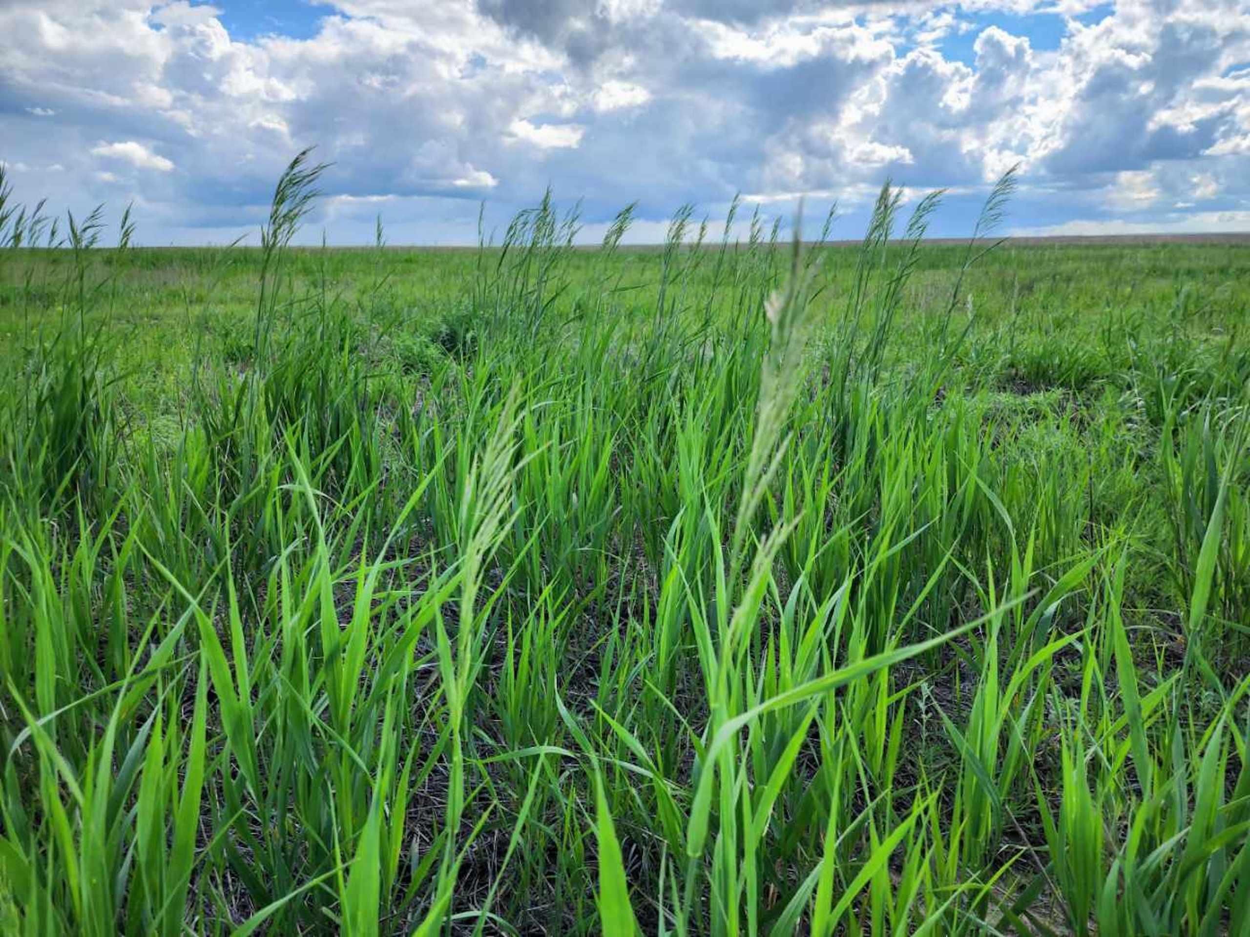 80 acres in Akron, CO, 80720 Land and Farm