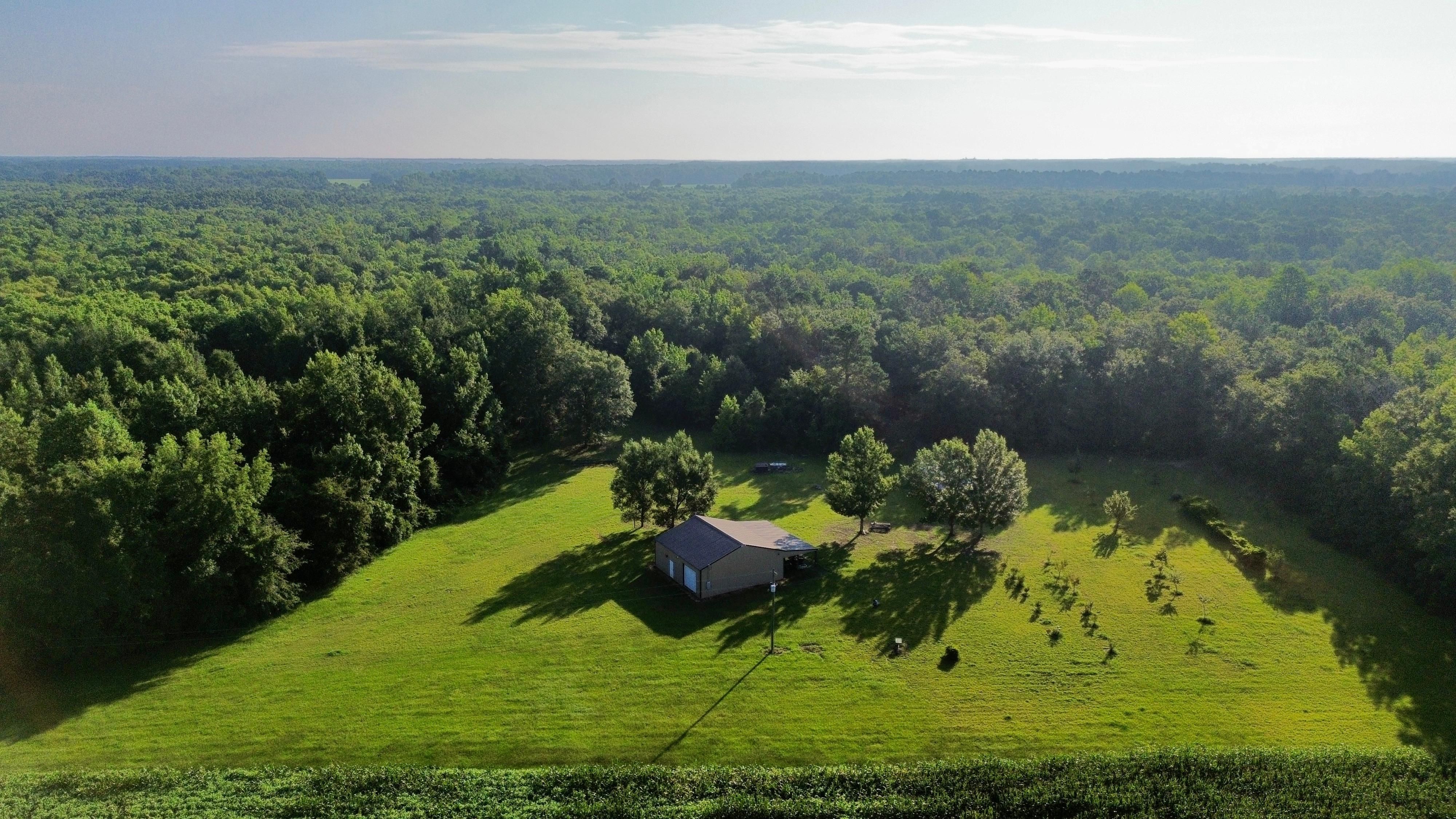 941 acres in Manning, SC, 29102 Land and Farm