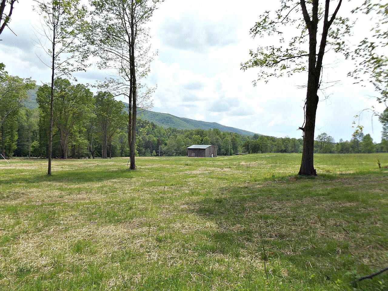 41.98 Acres, 3039 Highway 91, Elizabethton, TN 37643 Land and Farm