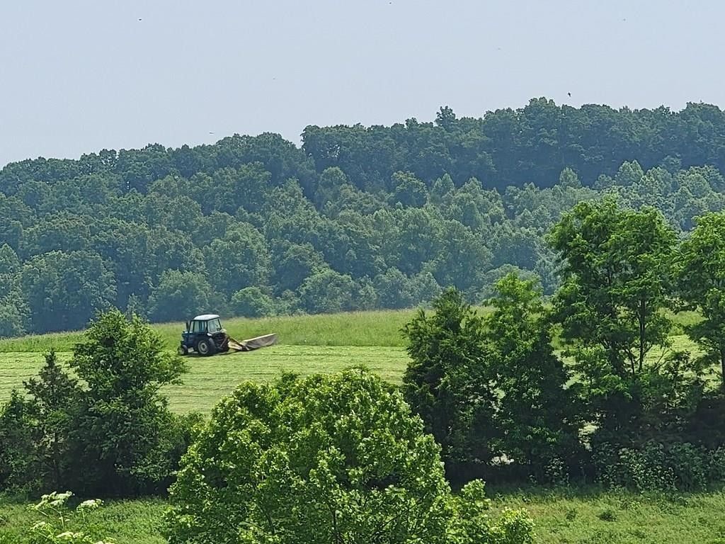 305 Acres, 3389 Buchanan Creek Rd, Ewing, KY 41039 Land and Farm