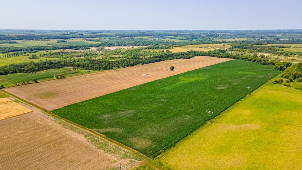 000 200th Street, Renville, MN 56284 MLS Renville 80 Land and Farm